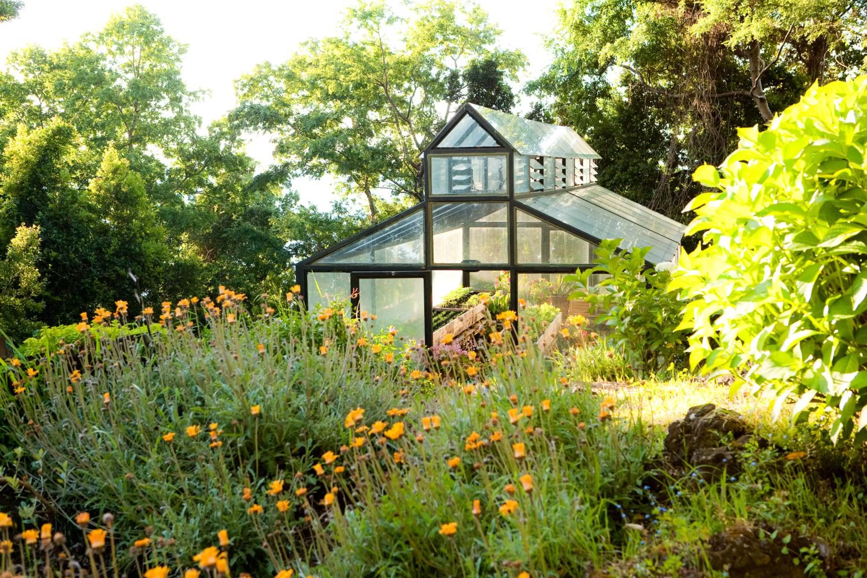 Garden, Property Building in Hotel Antumalal