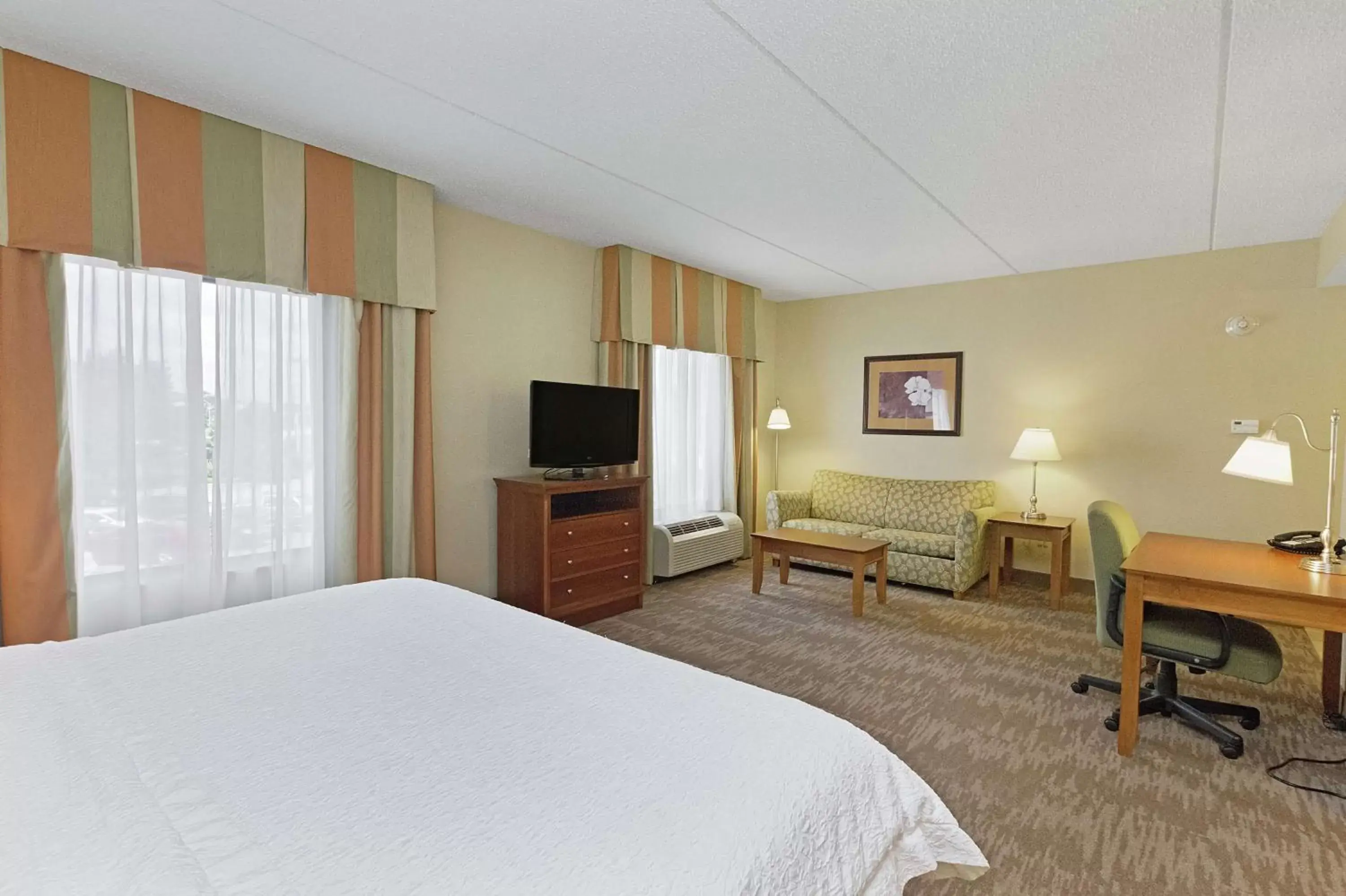 King Studio Suite with Sofa Bed - Non-Smoking in Hampton Inn & Suites Blairsville King Studio Suite with Sofa Bed - Non-Smoking in Hampton Inn & Suites Blairsville