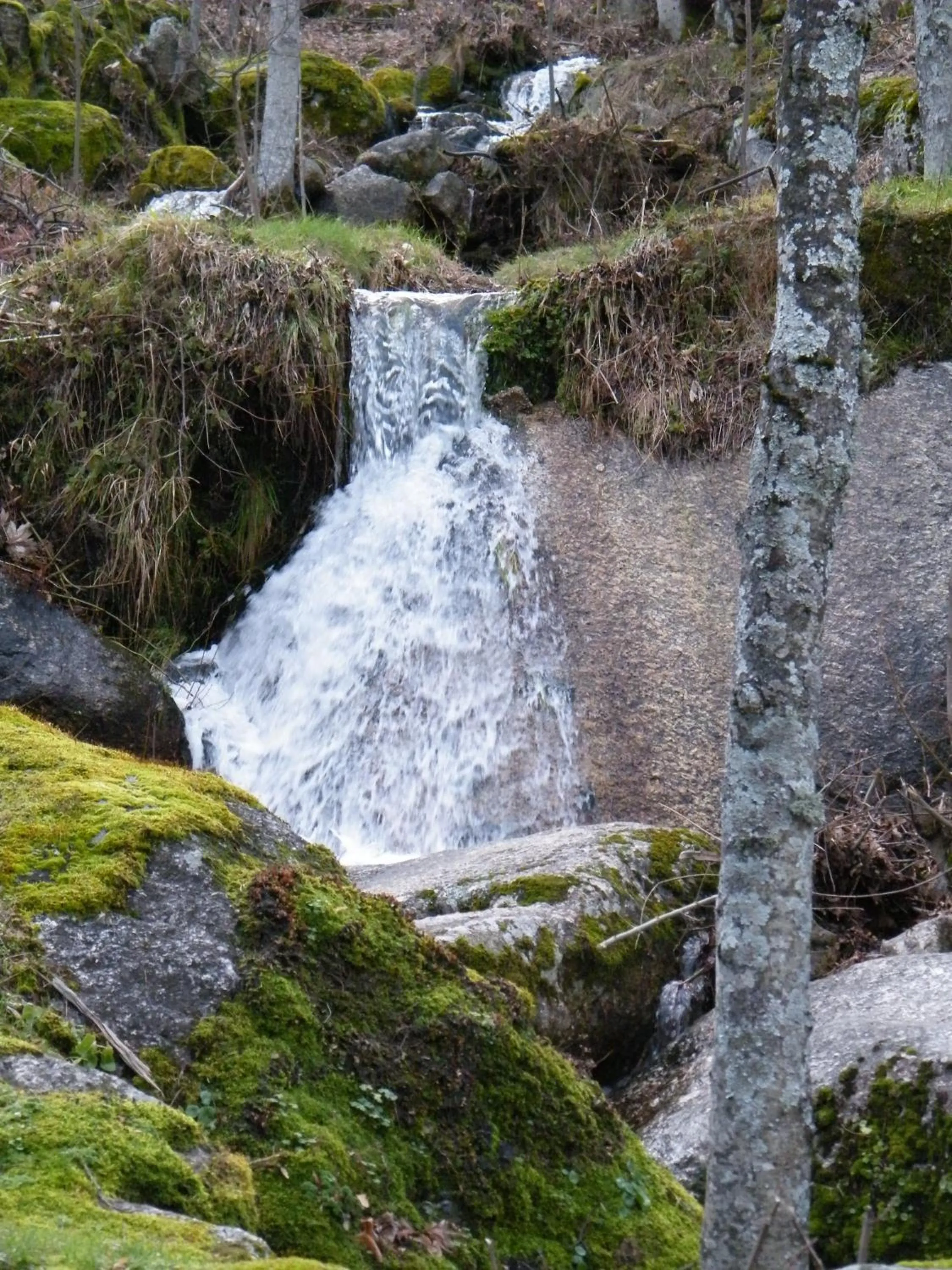 Area and facilities in INATEL Manteigas