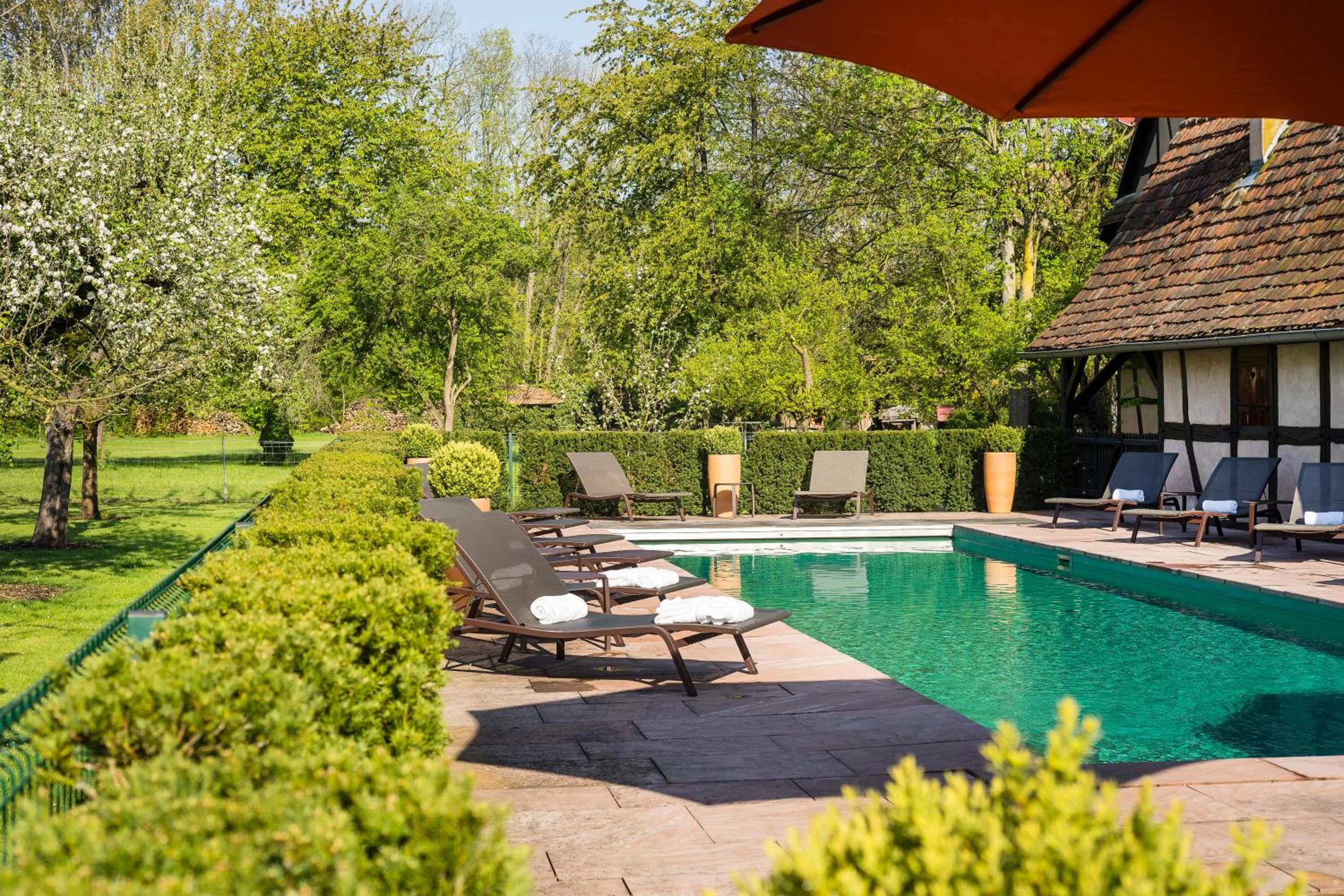 Day, Swimming Pool in Hotel Restaurant De l'Illwald