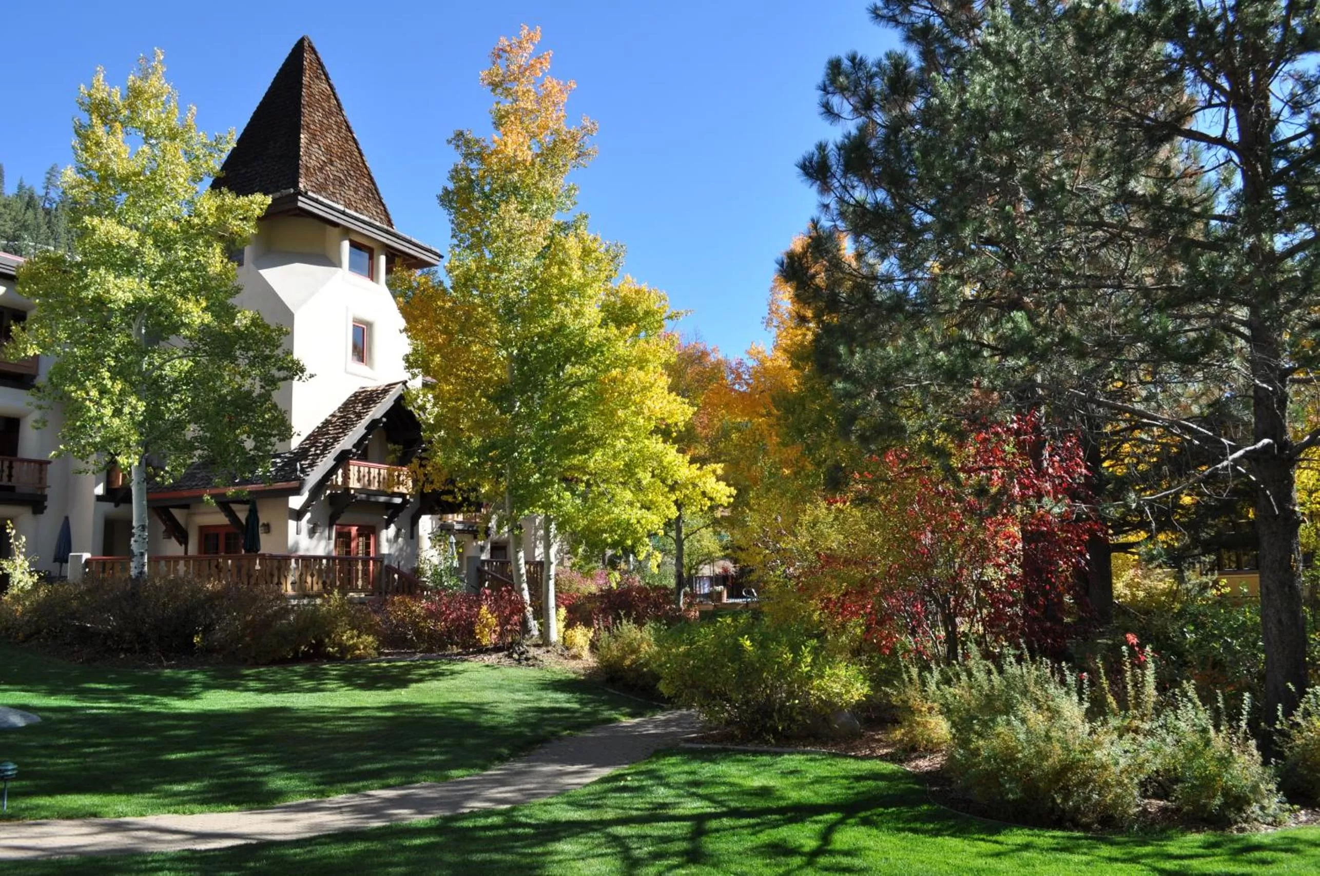 Garden view in Olympic Village Inn Olympic Valley