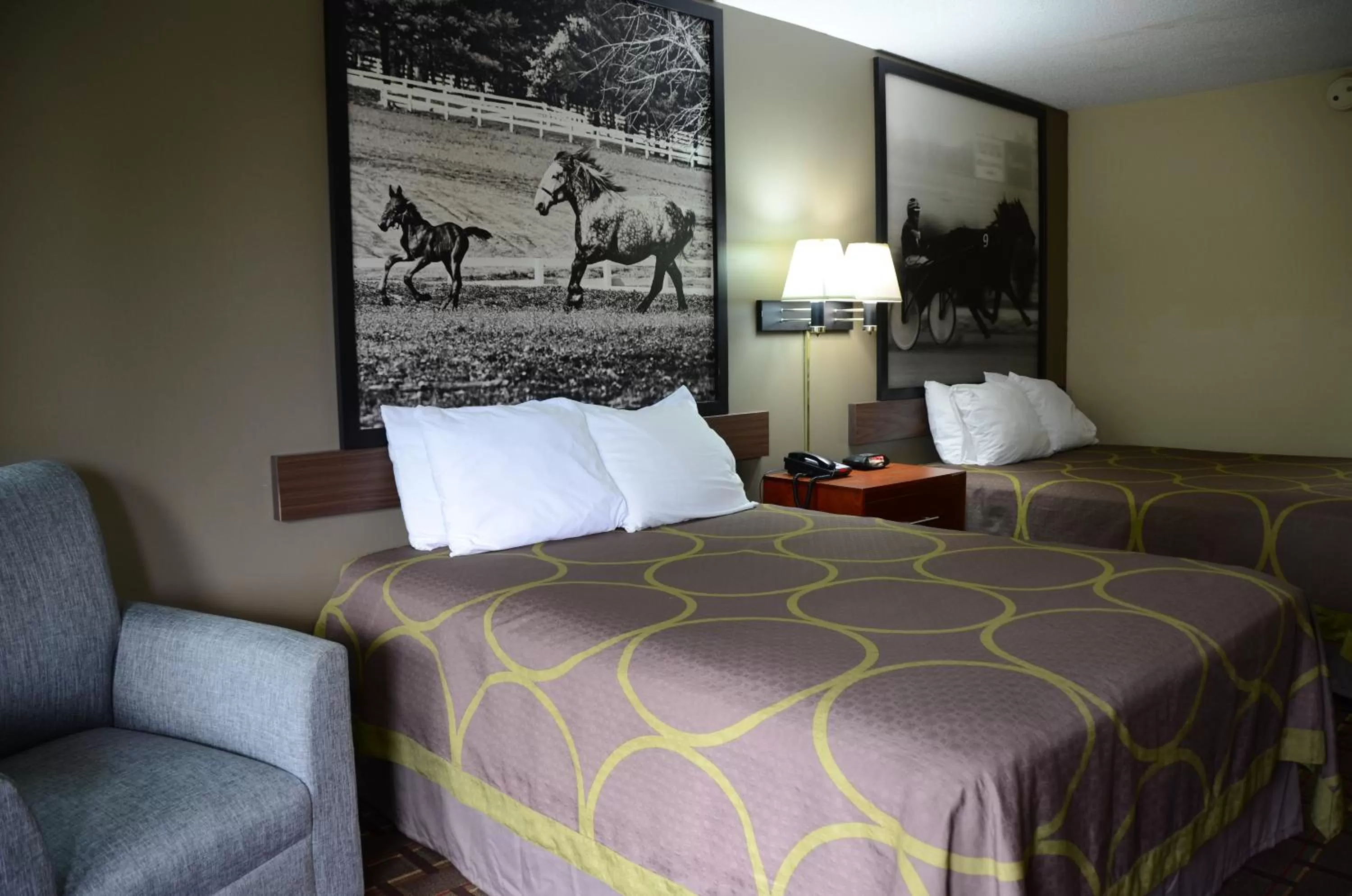 Bed in Super 8 by Wyndham Franklin Hwy 31