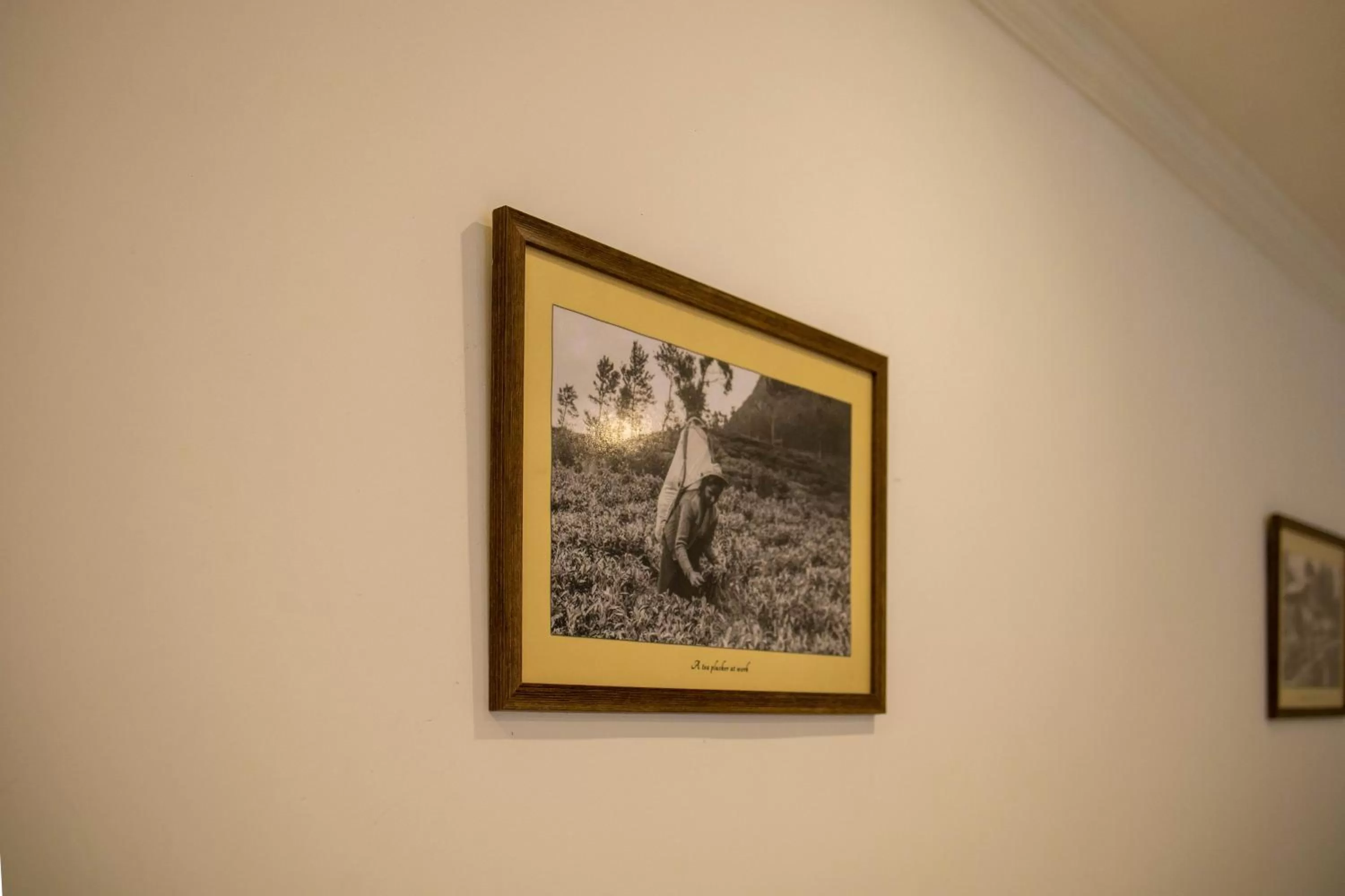 Logo/Certificate/Sign in Hotel Ganthera Kandy