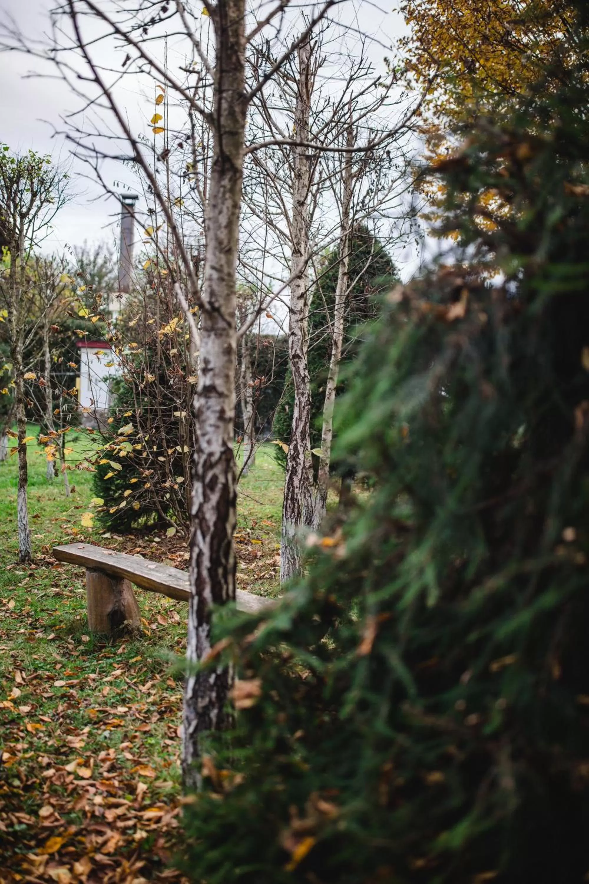 Garden in Kolyba Opryshkiv