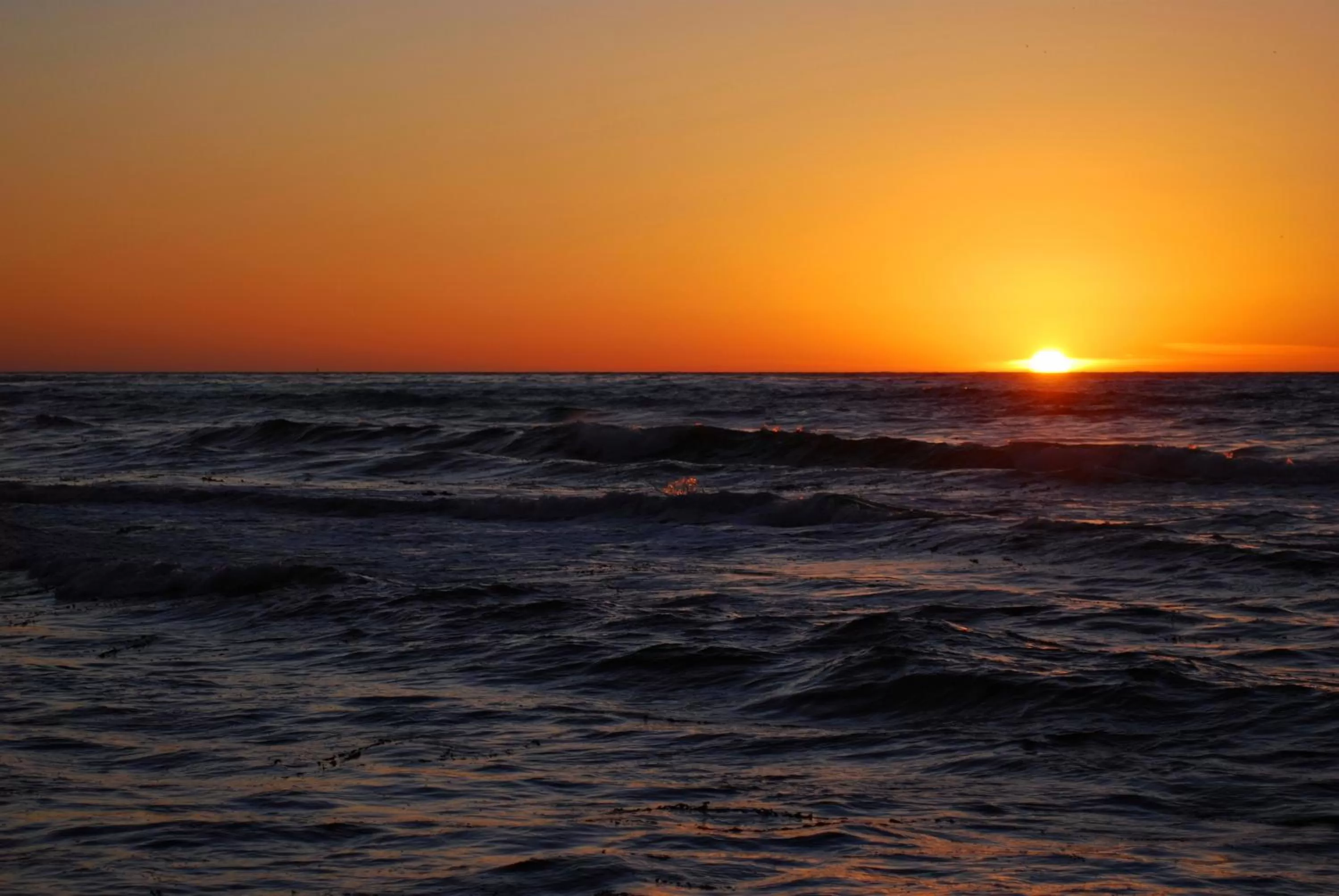 Beach in Shore Hotel