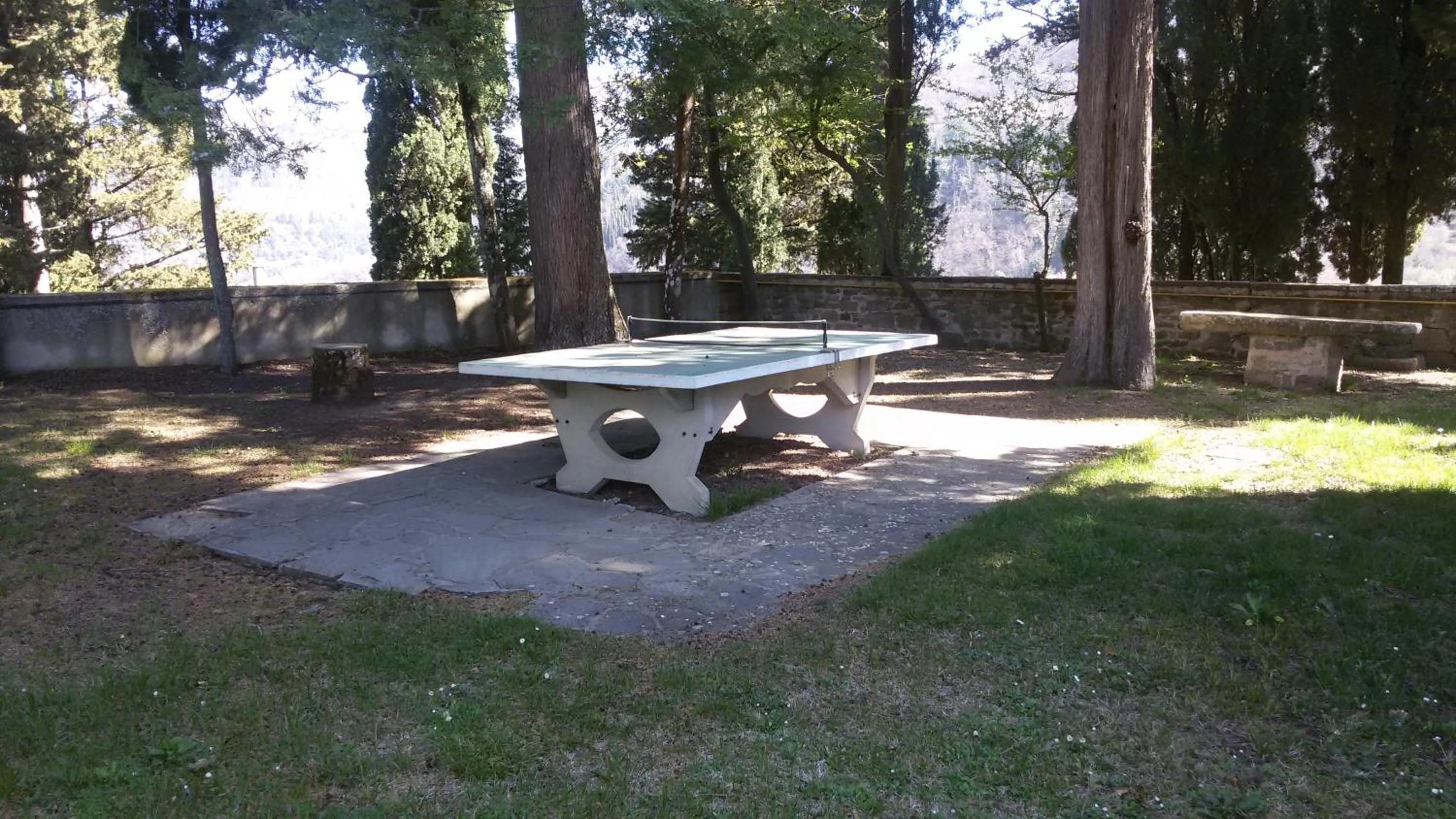 Table tennis in Villa Pitiana