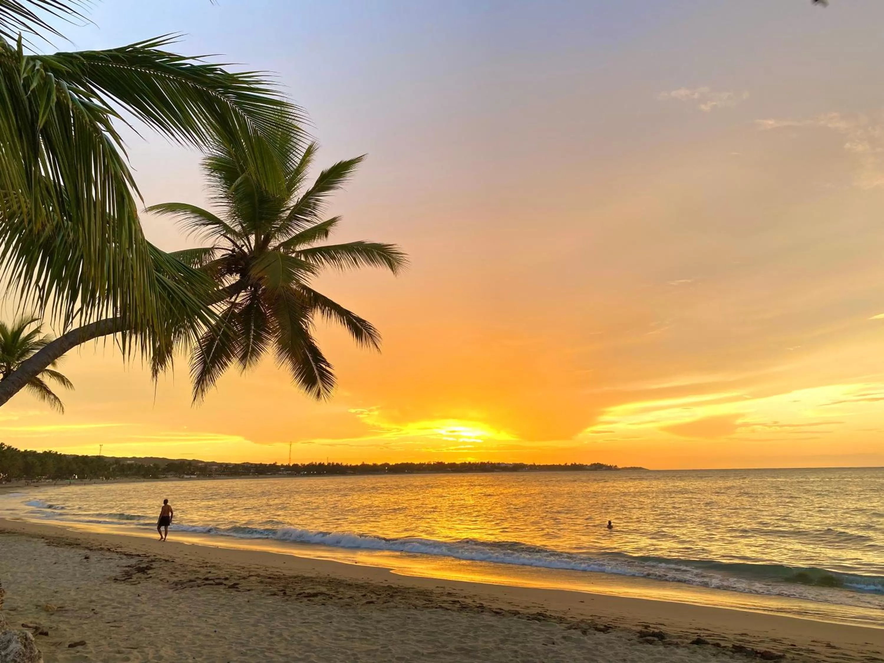 Natural landscape in Hotel Alegria