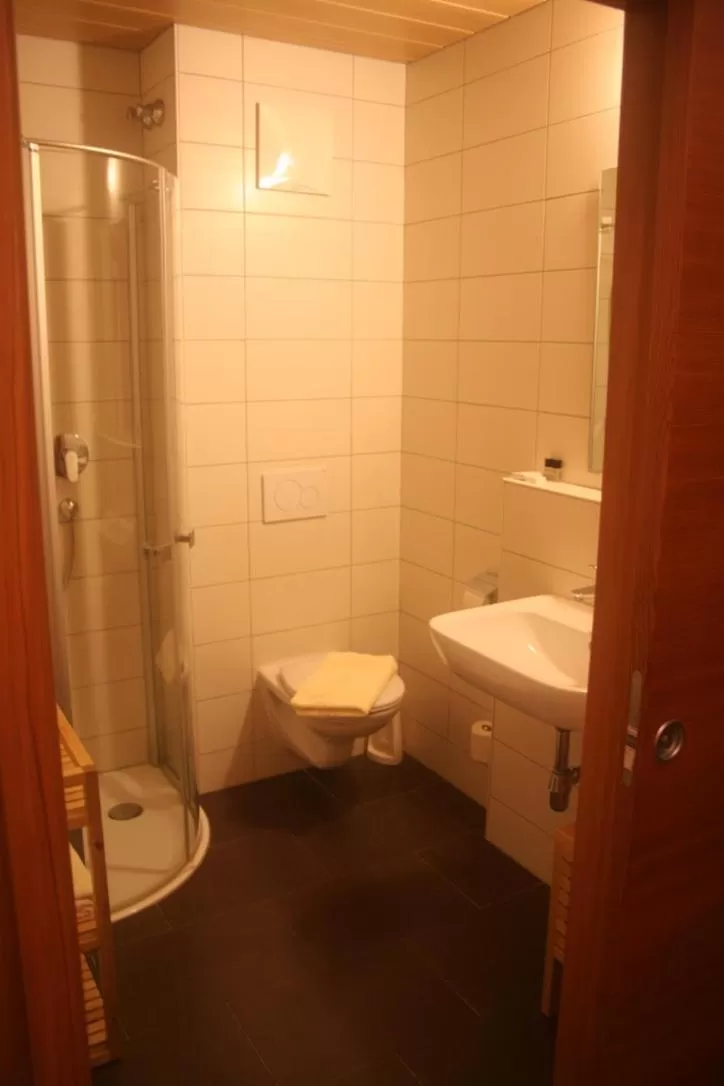 Bathroom in Hotel Engl