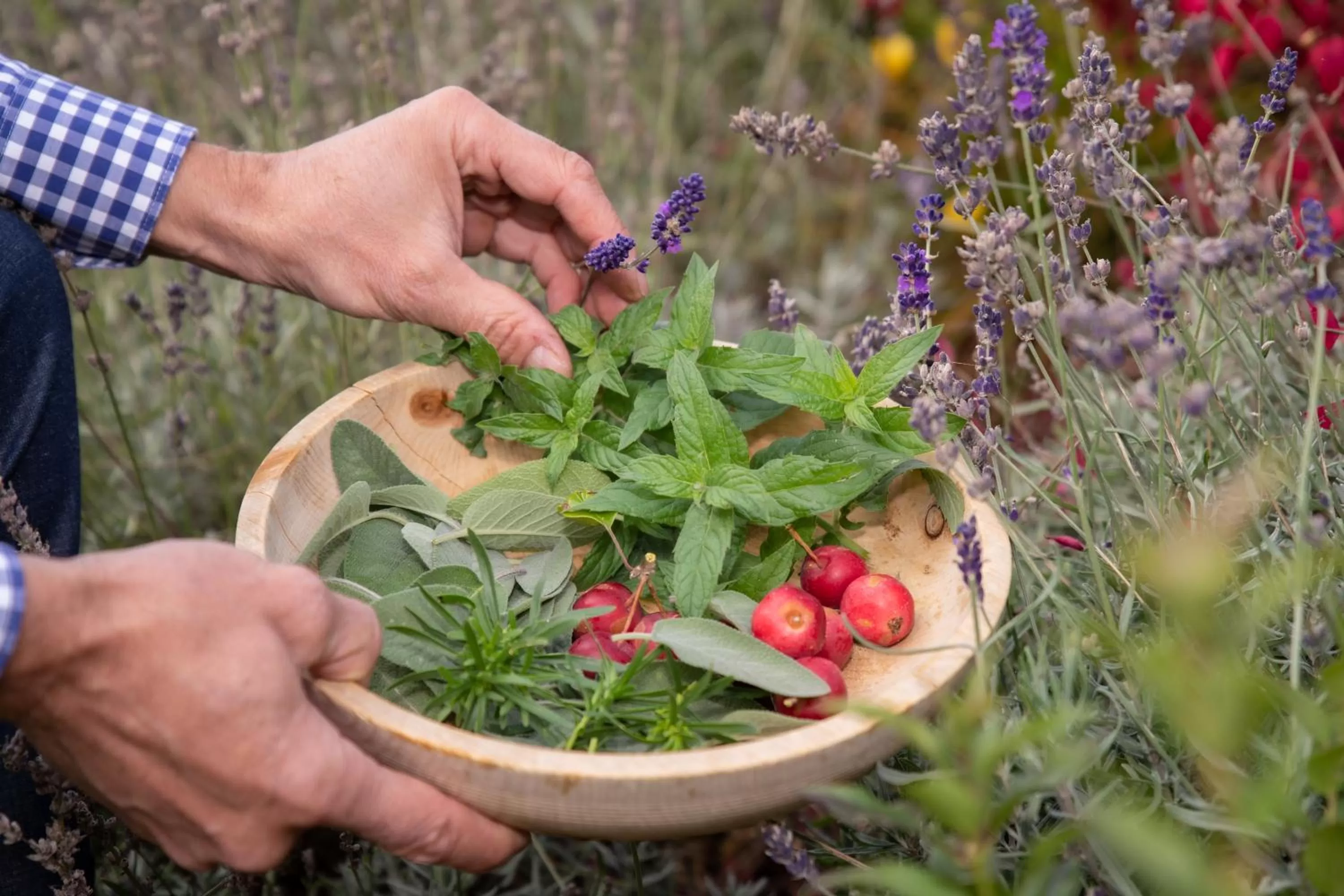 Food close-up in Berghotel Johanneshof