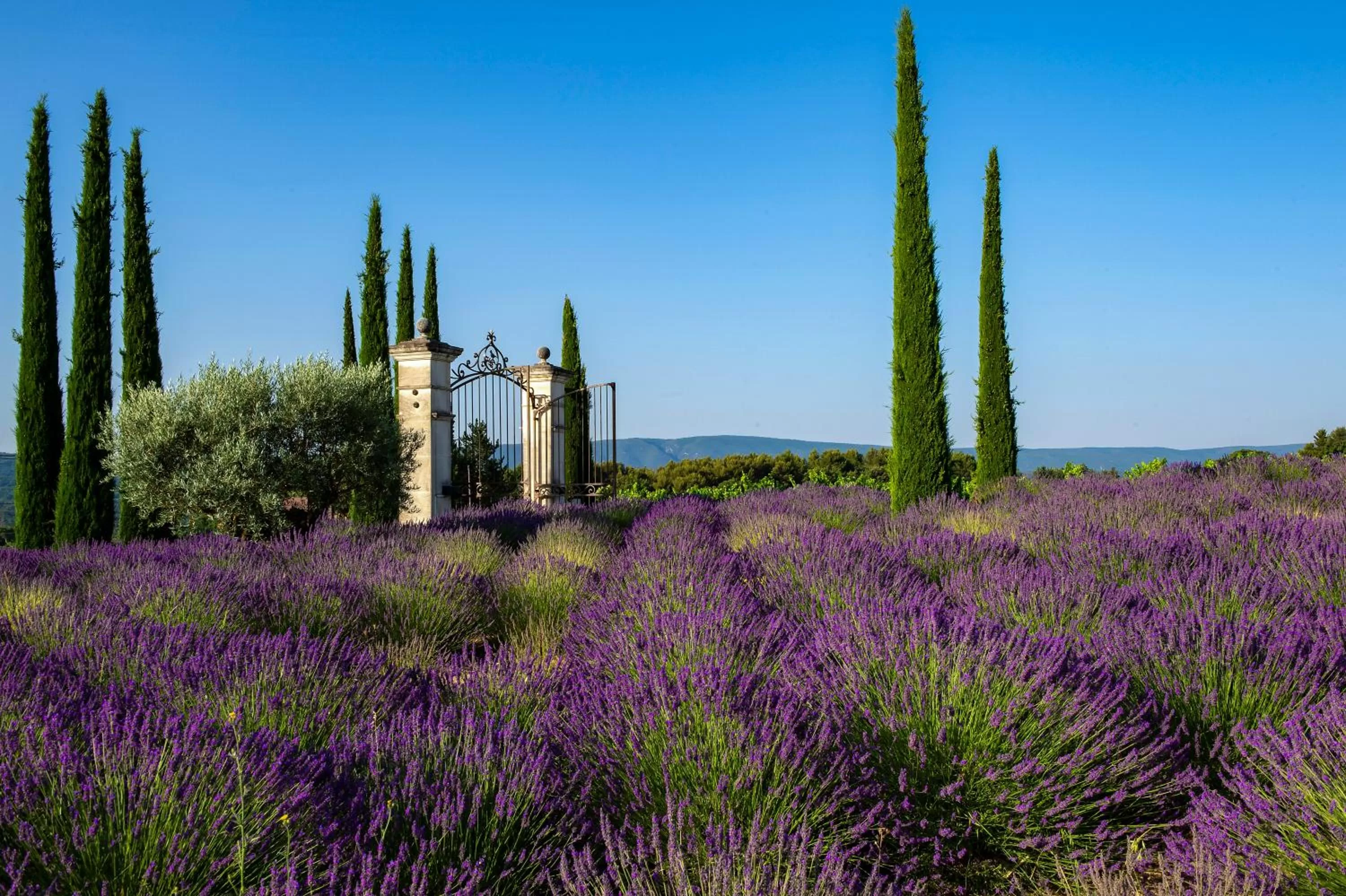 Facade/entrance in Coquillade Provence - Relais & Châteaux