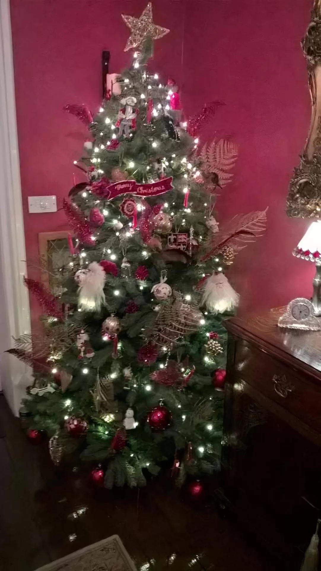 Lobby or reception in Plas Tan-Yr-Allt Historic Country House B&B