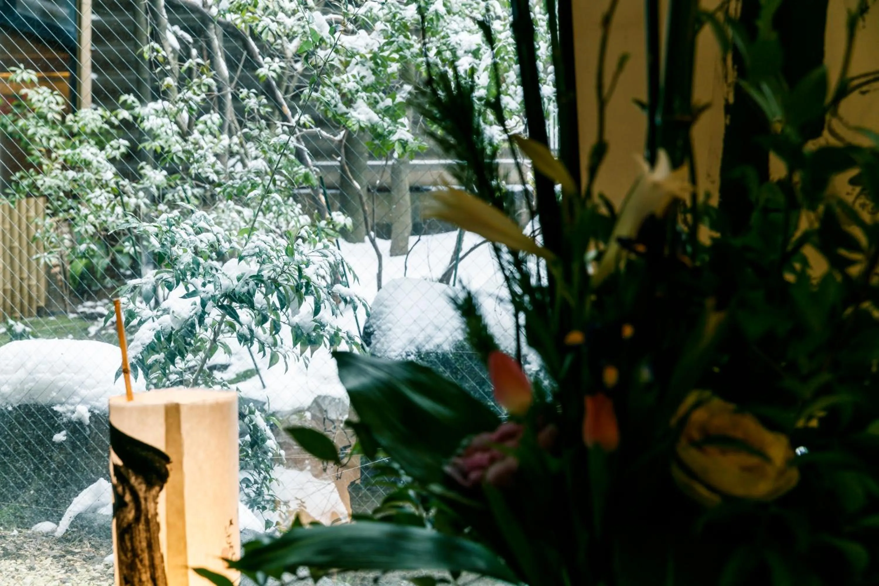 Area and facilities in Hatori