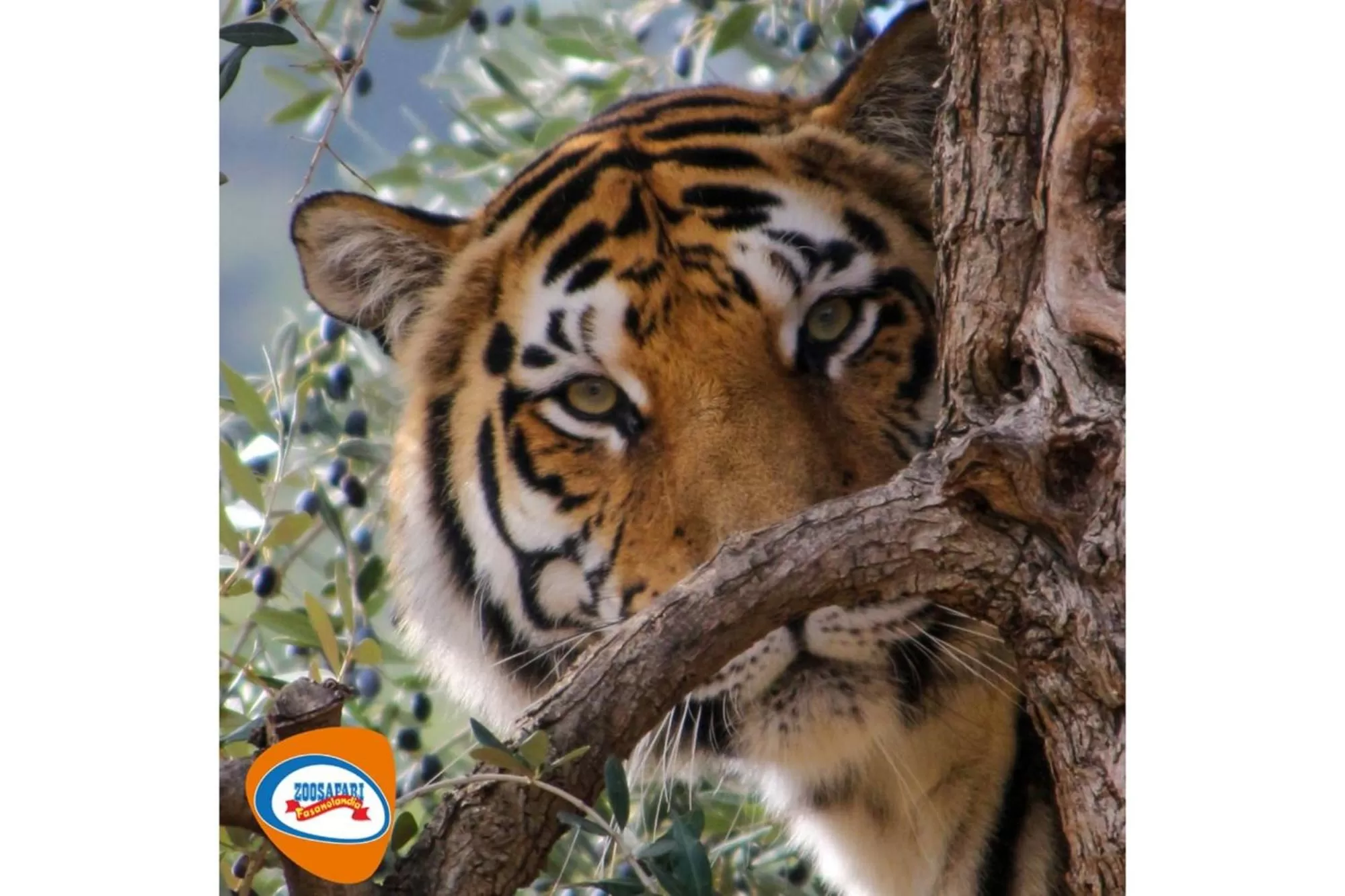 Aqua park in Palazzo De Luca by Apulia Hospitality