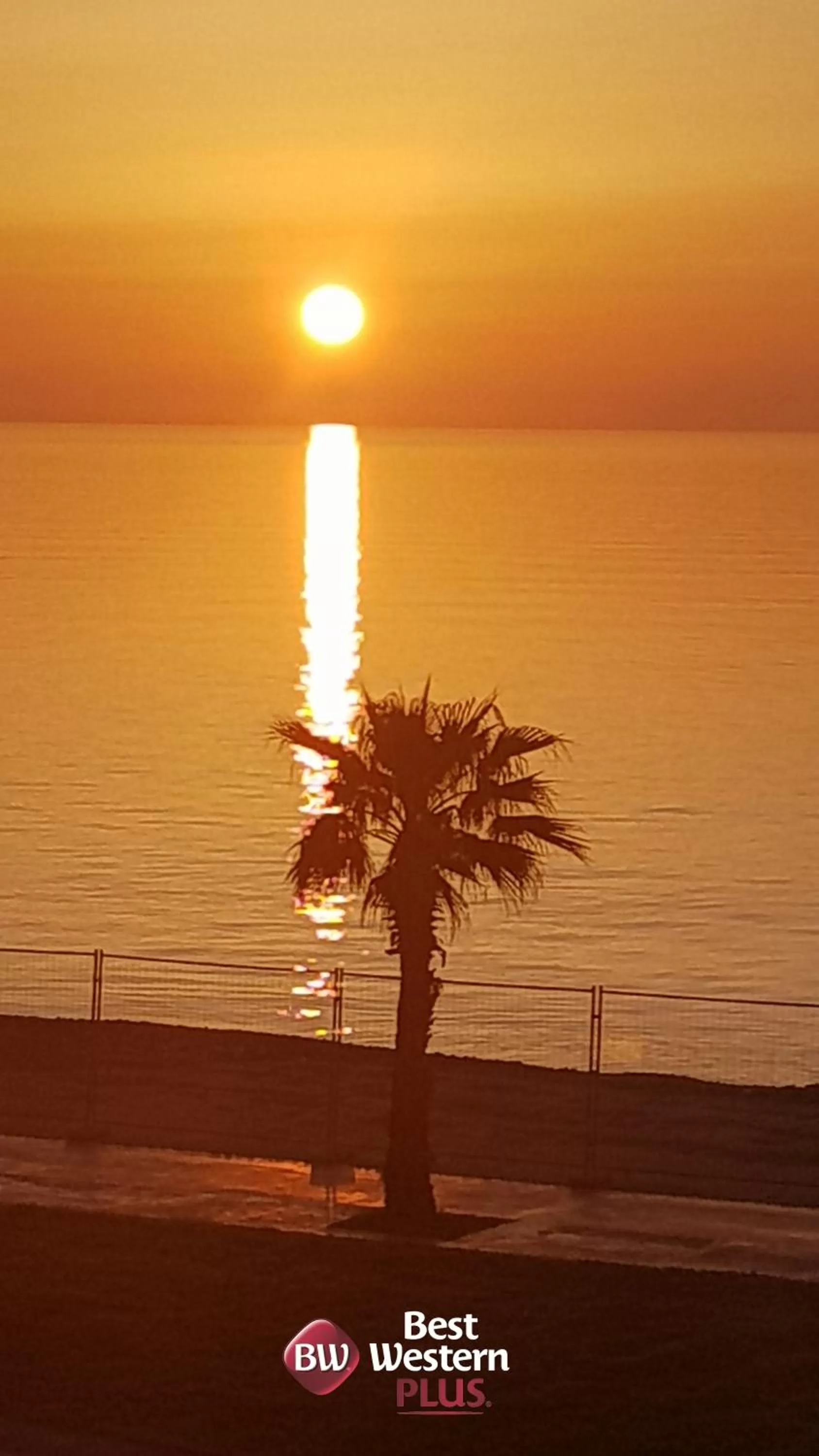 Beach in Boulevardside