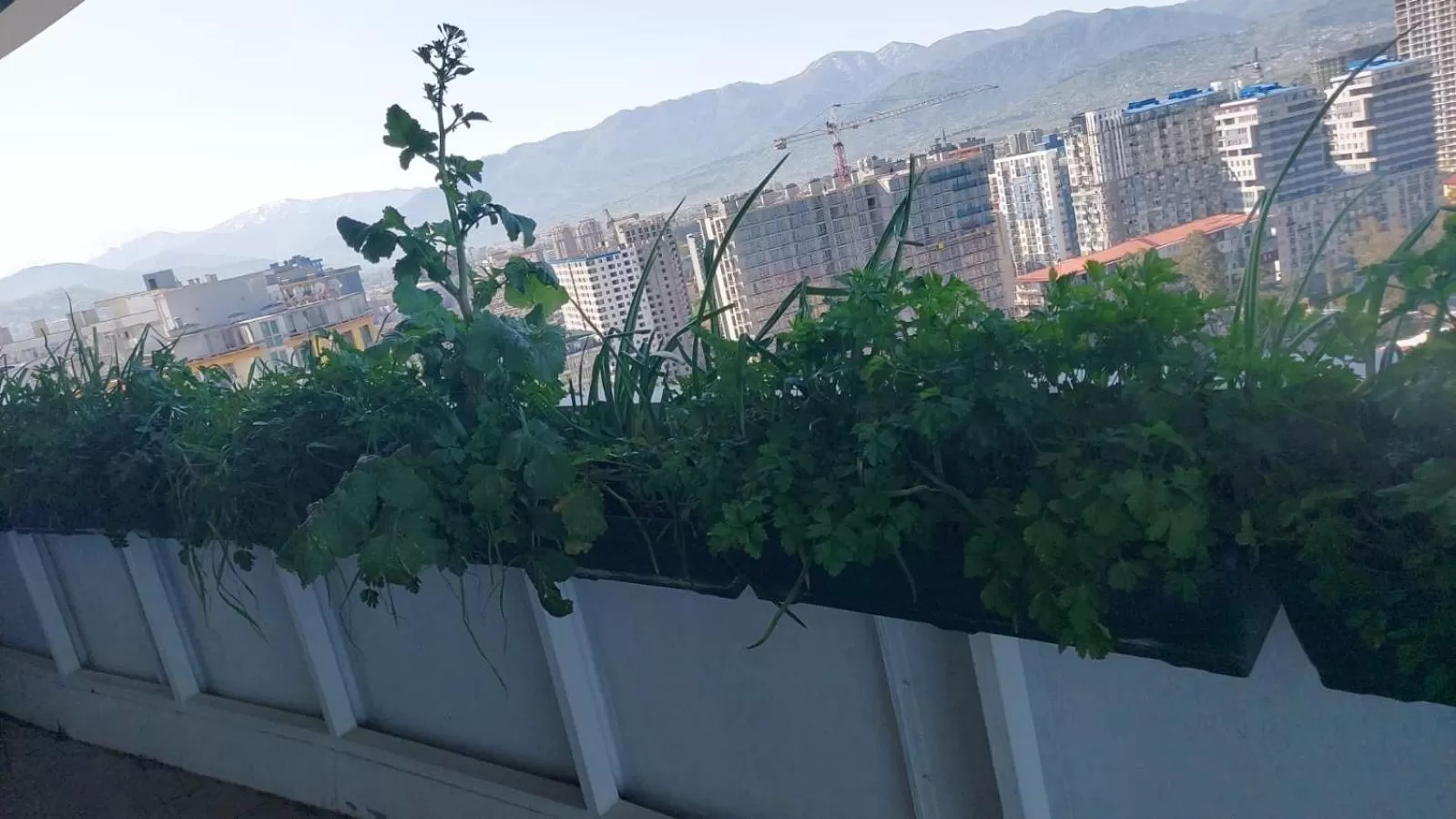 Balcony/Terrace in PURE WELLNESS SEA-VIEW Beluga & Dolphin Luxury HOTEL apartments