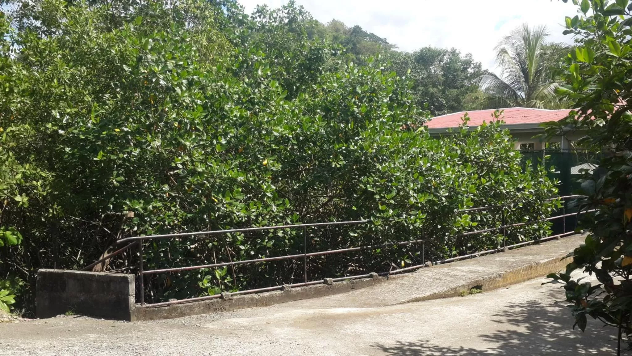 Facade/entrance in Sueño Tranquilo