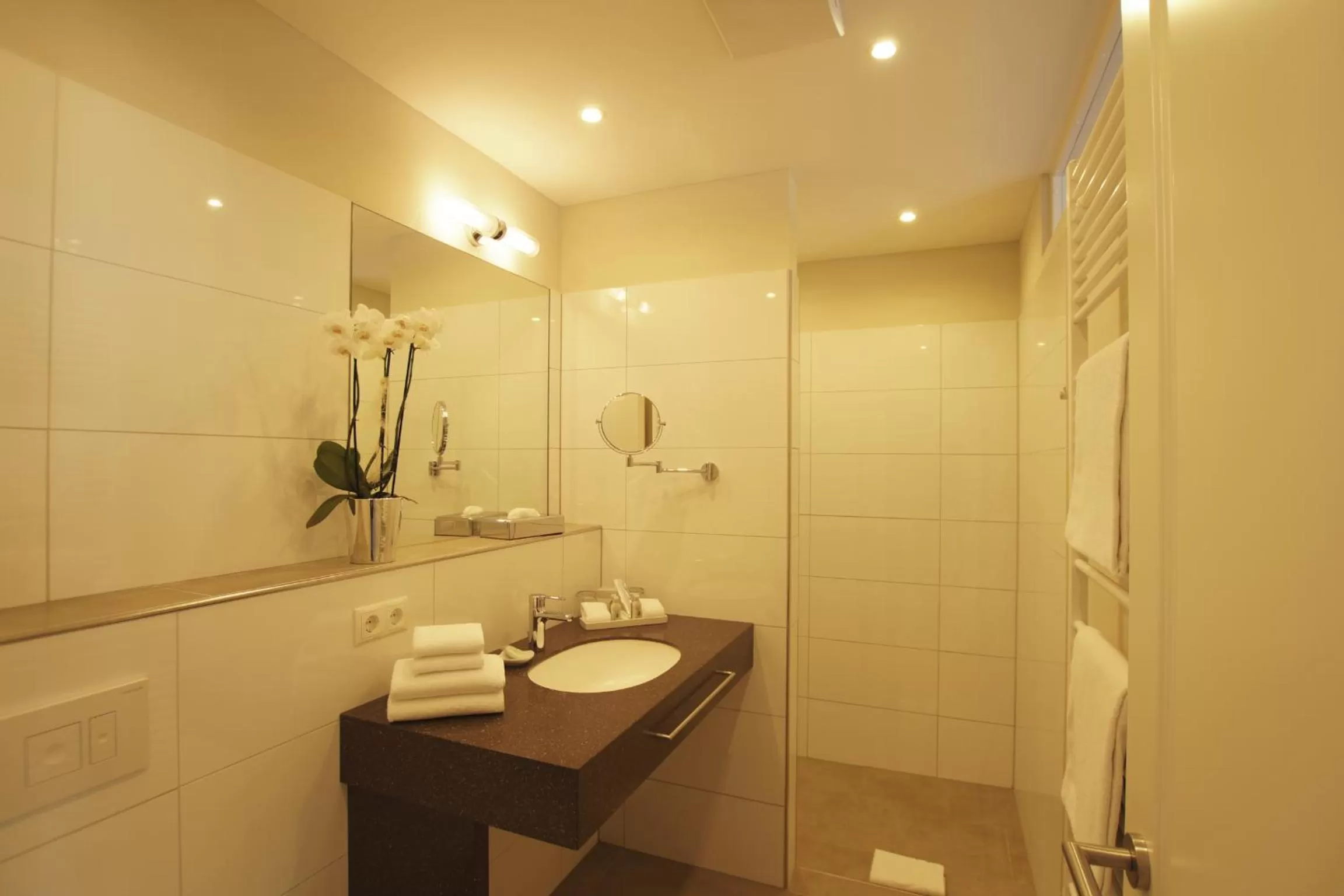 Shower in Landhotel Sanct Peter