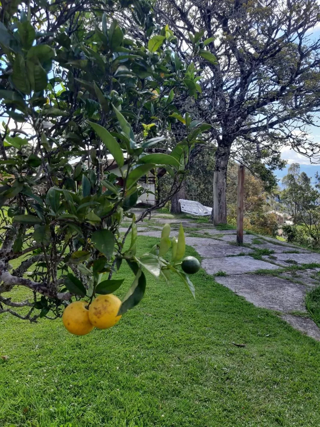Garden in Pousada Village Por do Sol by Concavus