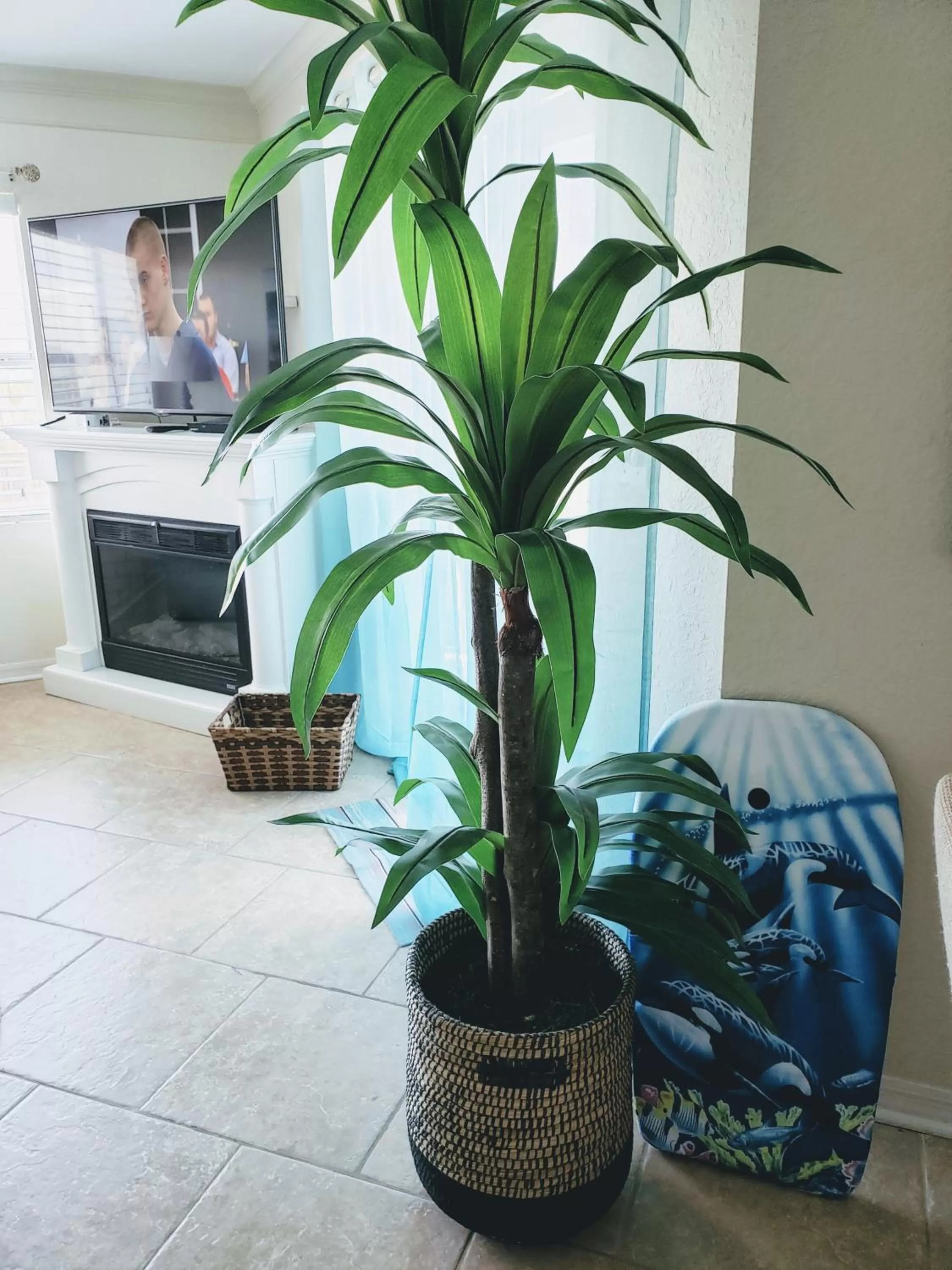 Ocean Gate at Hibiscus Resort