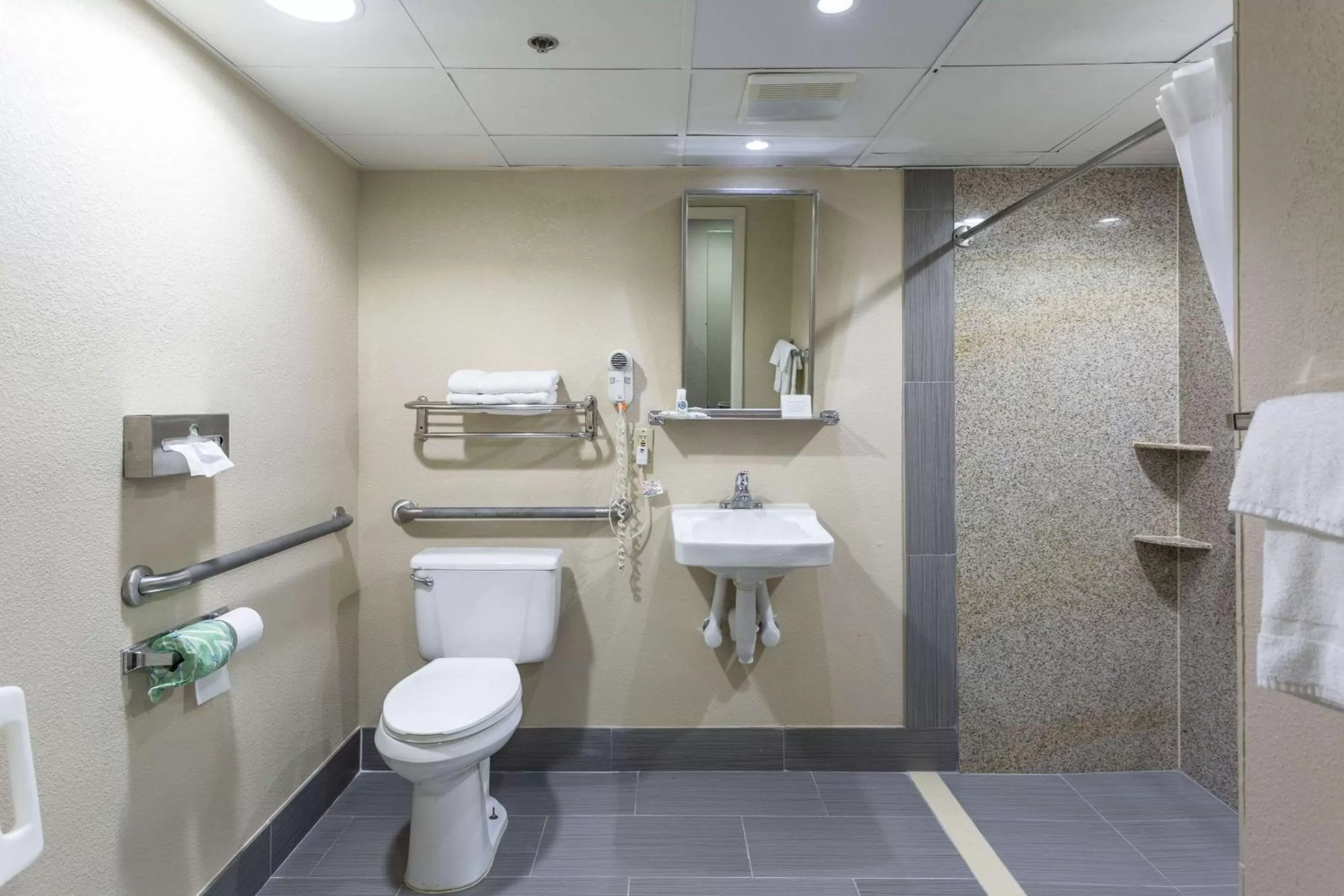 Bathroom in Comfort Inn Decatur Priceville