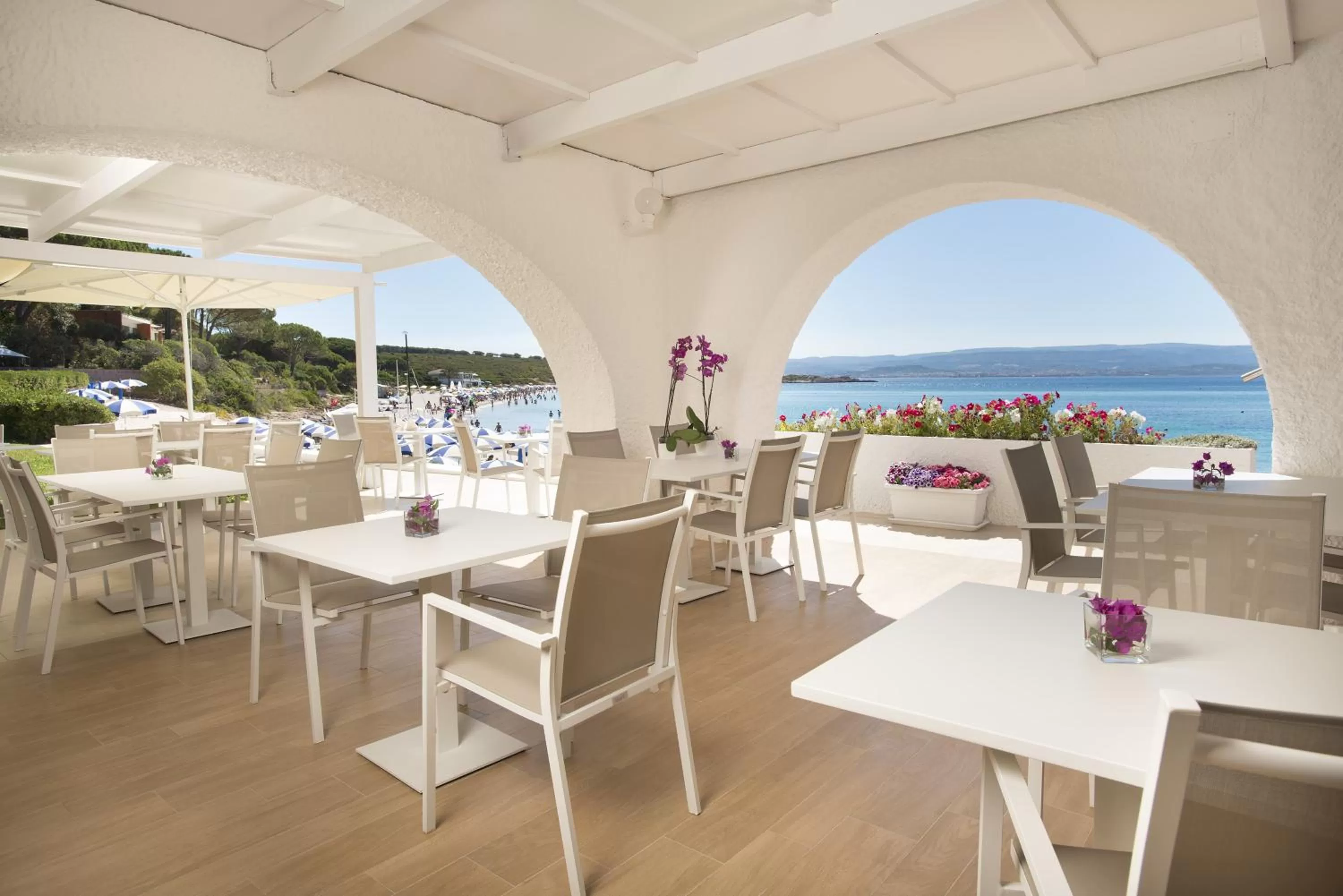 Restaurant/places to eat in Hotel Dei Pini