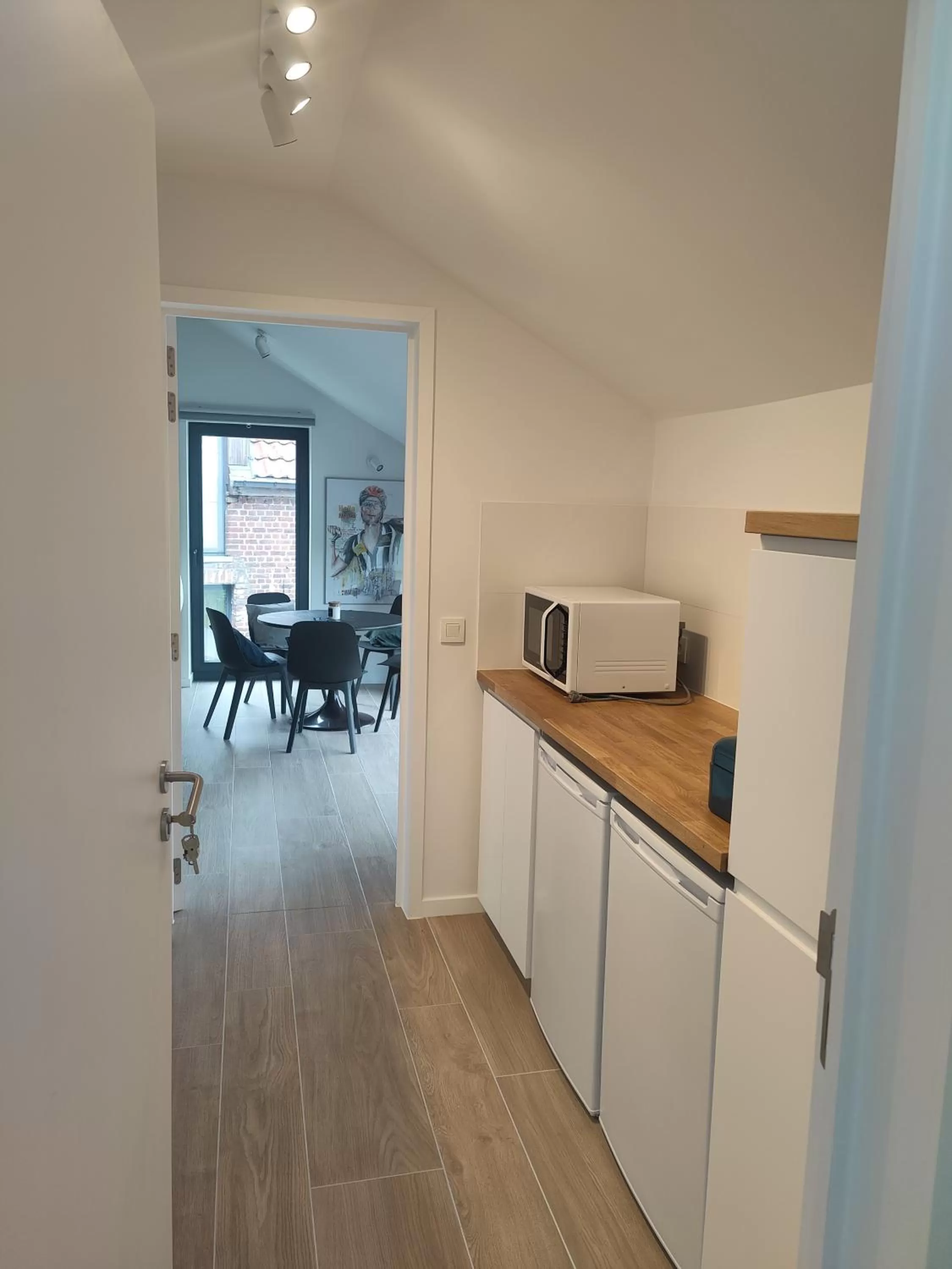 Kitchen/Kitchenette in Akrenbos 101