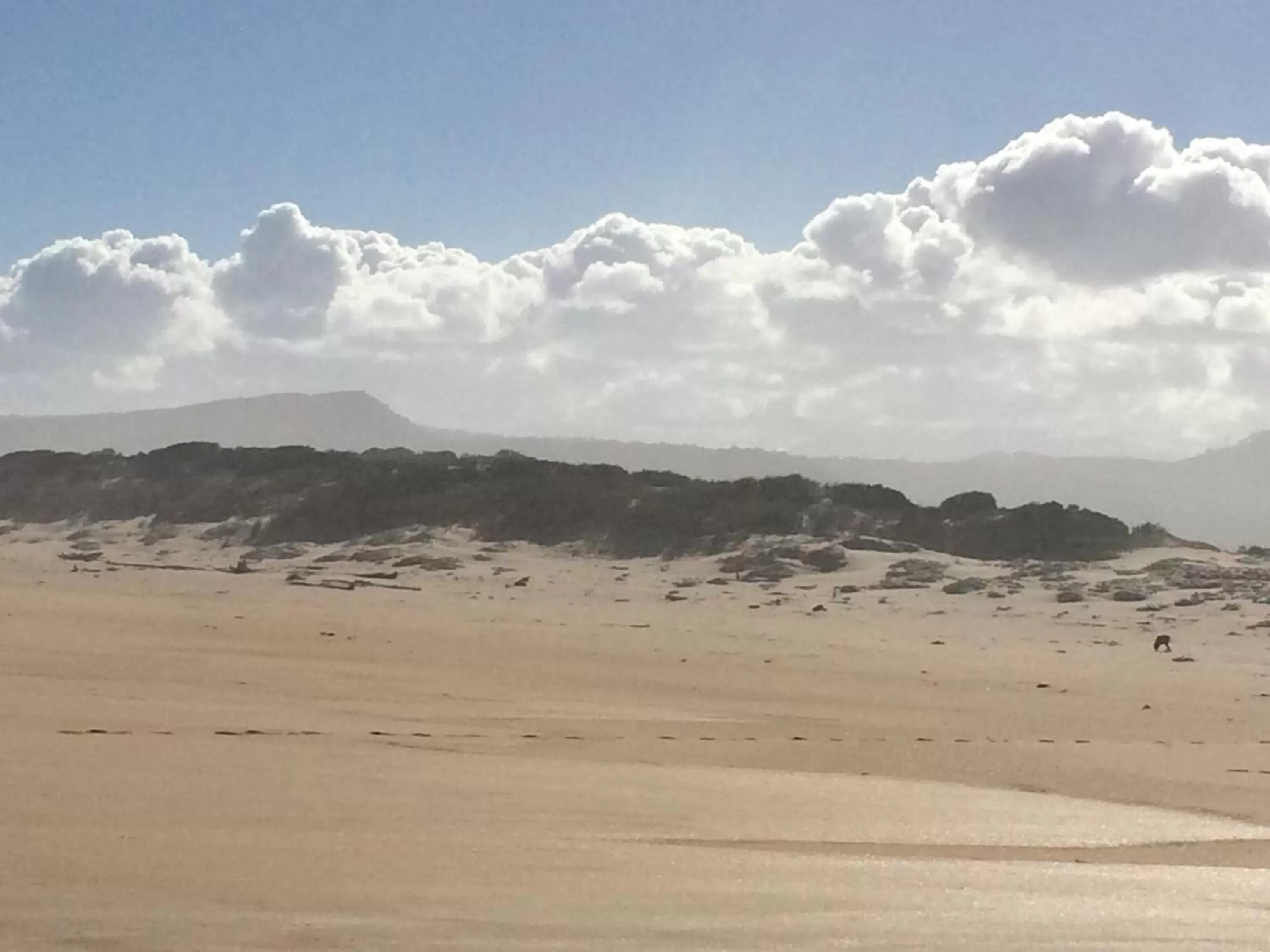 Beach in Fish Eagle Lodge