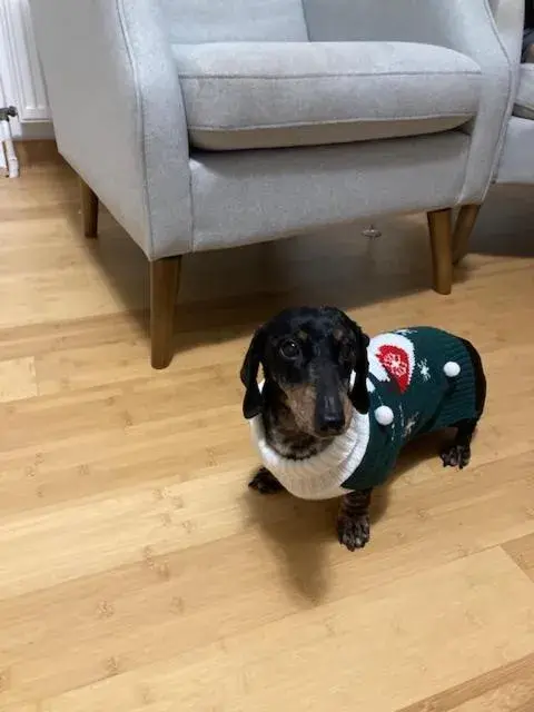 Aparthotel City 5 Aparthotel City 5