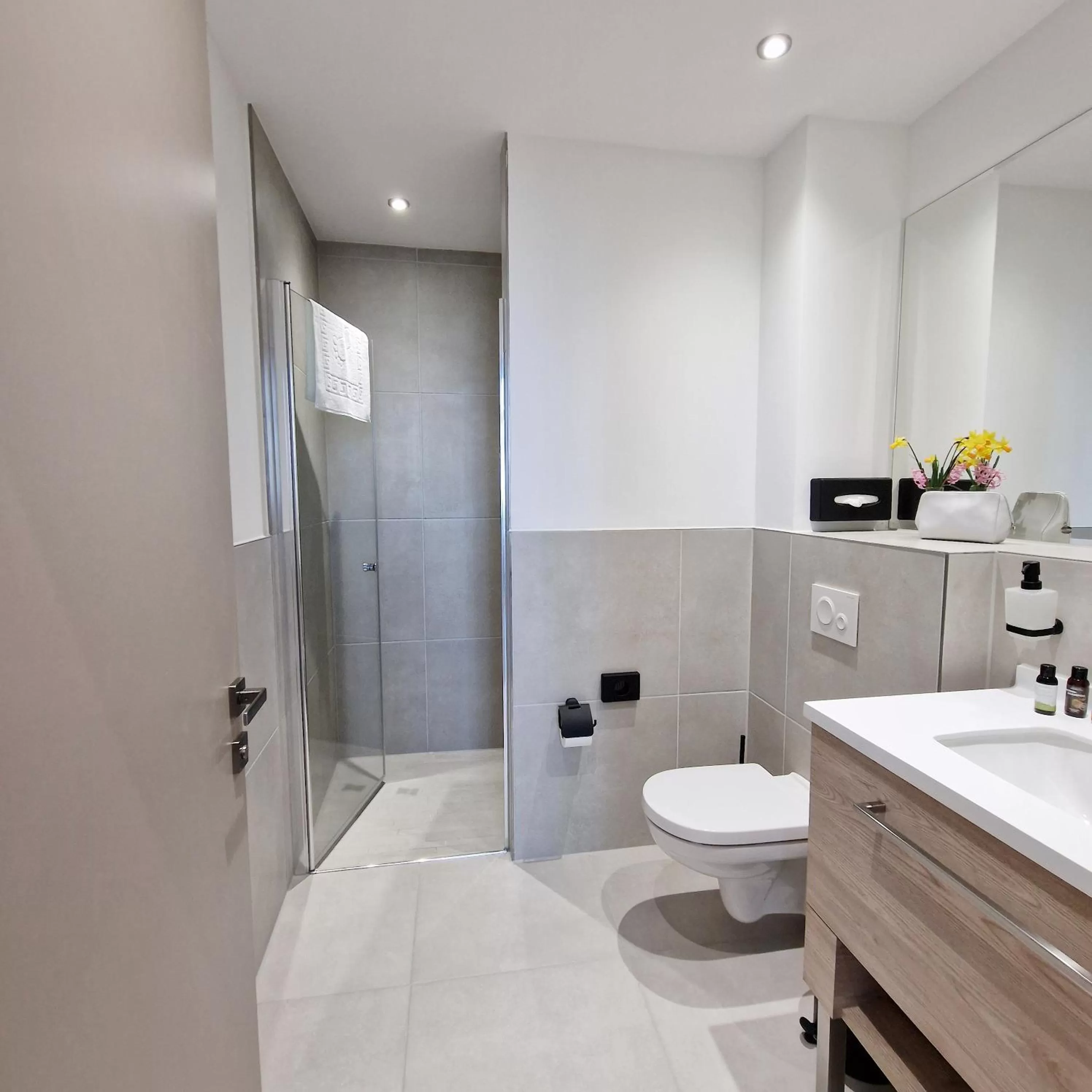 Shower in Hotel Kaiserhof