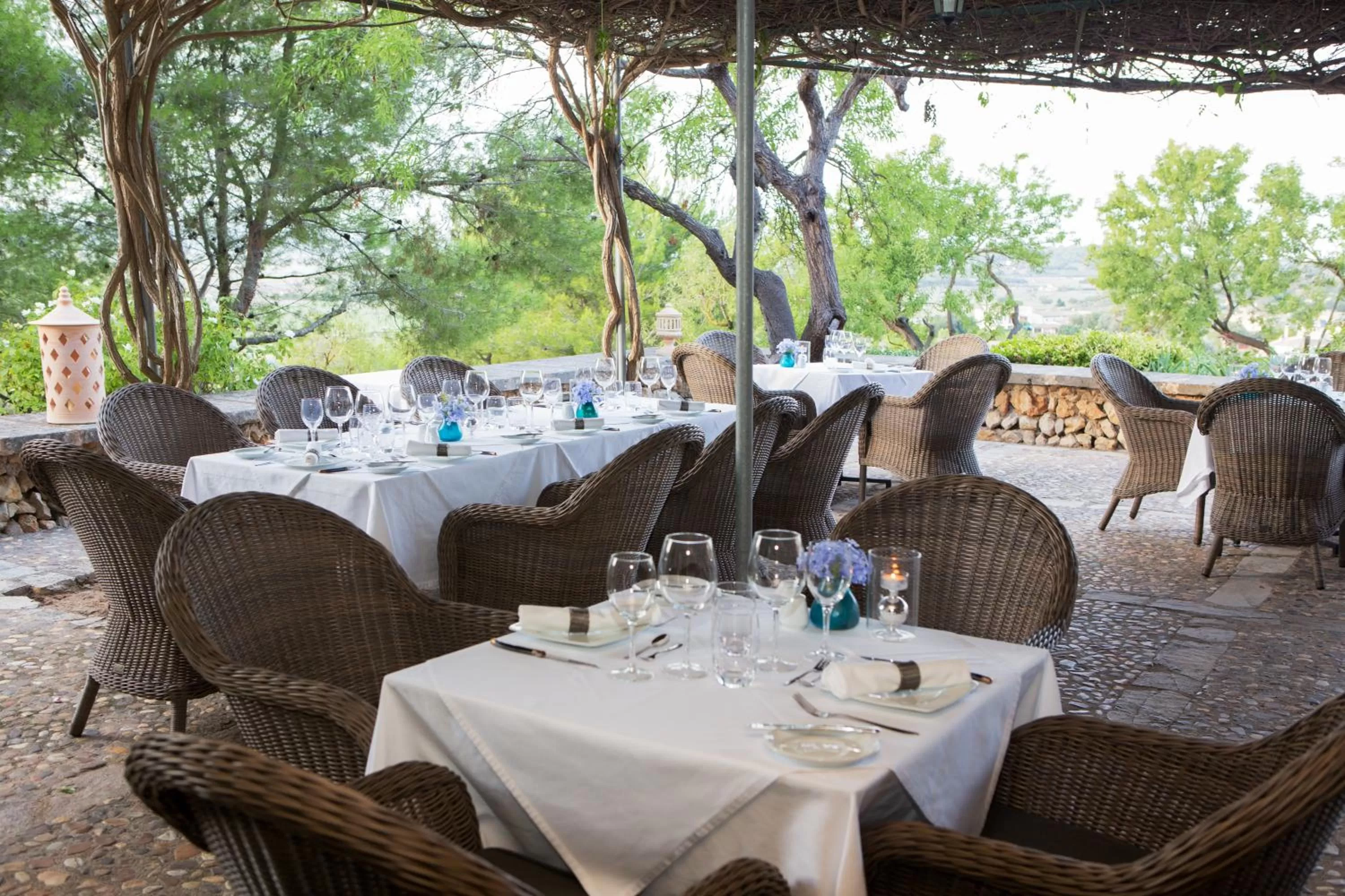 Restaurant/places to eat in Casa Font i Roig