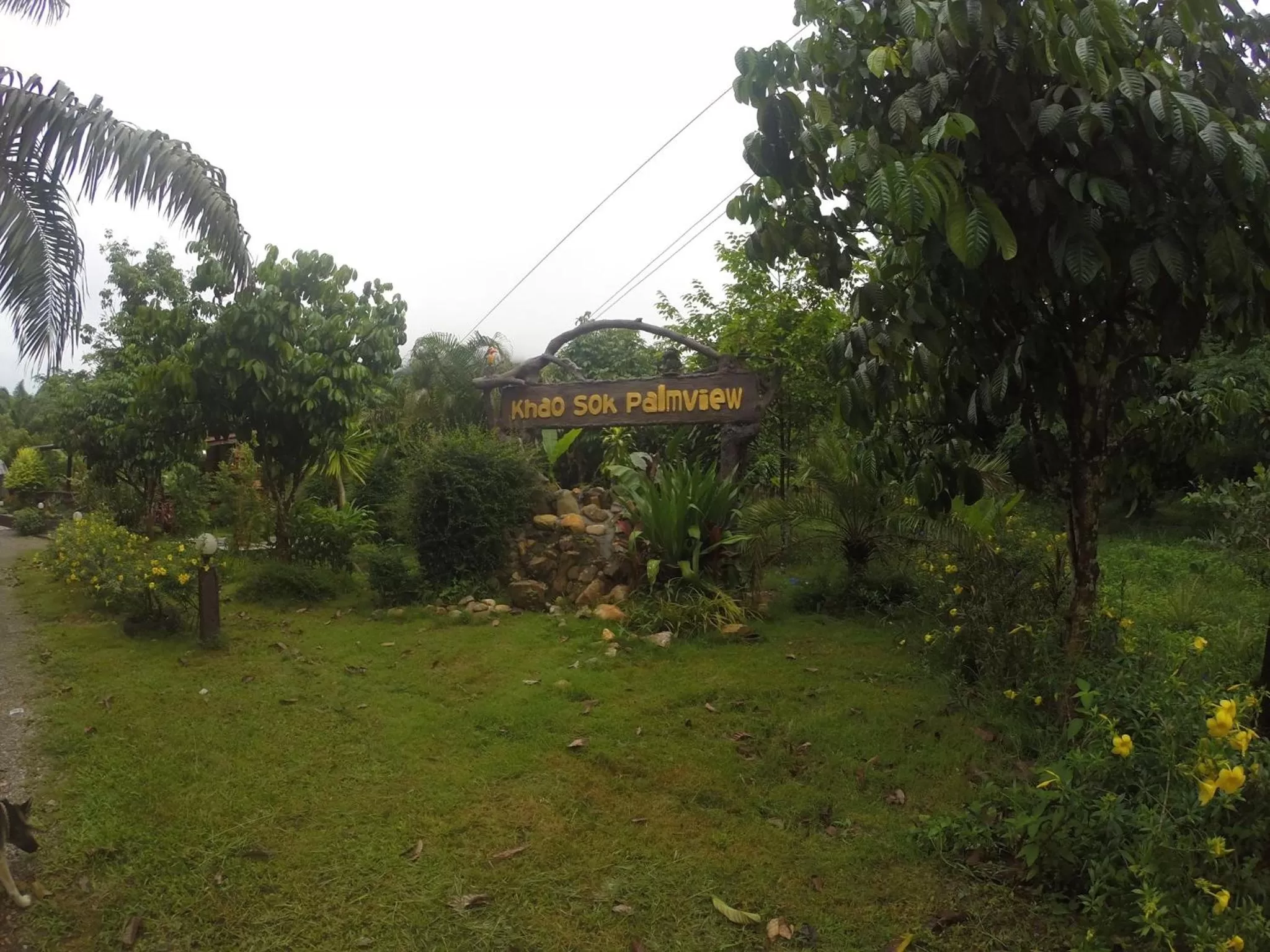 Day in Khao Sok Palmview Resort