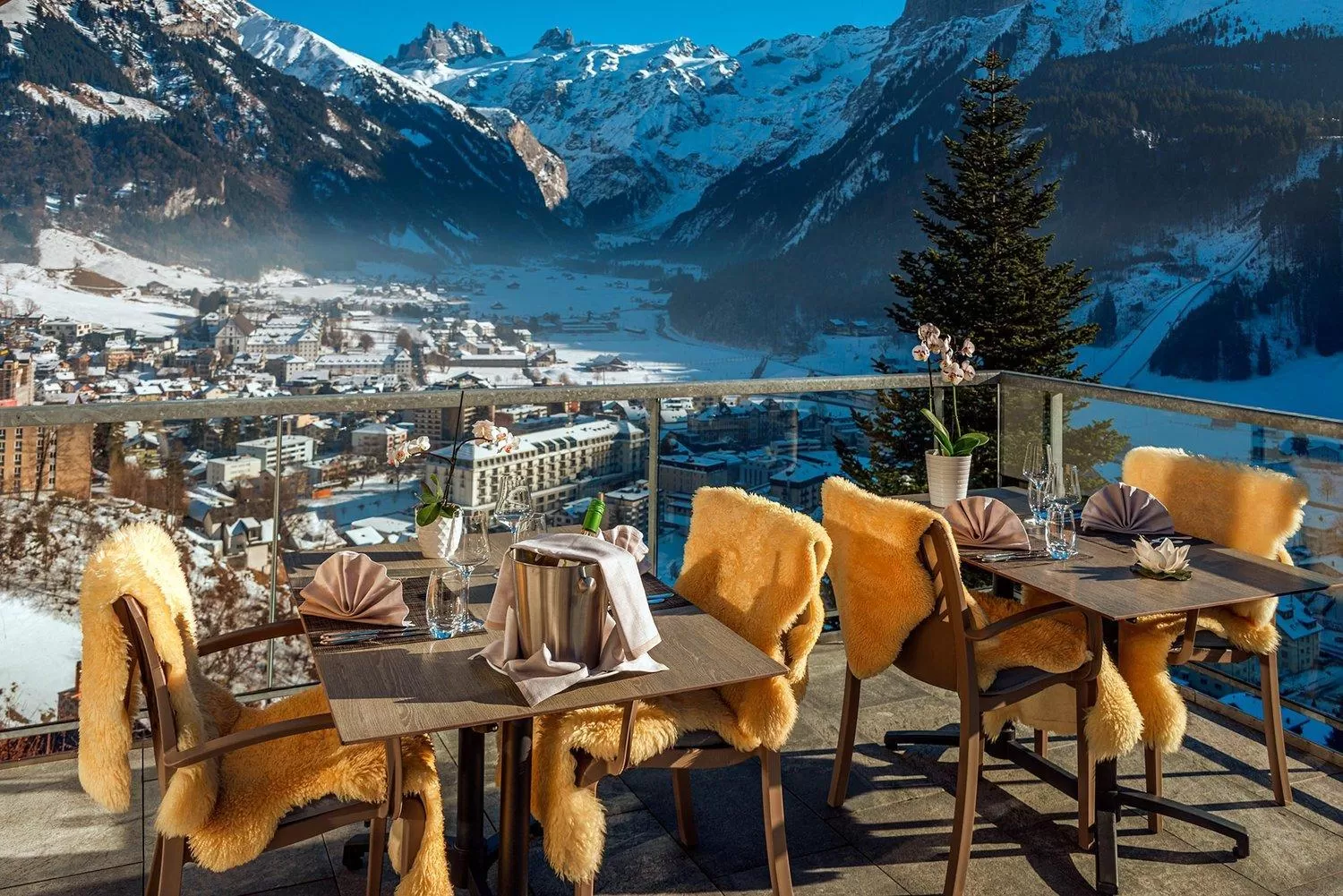 Restaurant/places to eat in Hotel Waldegg - Adults only