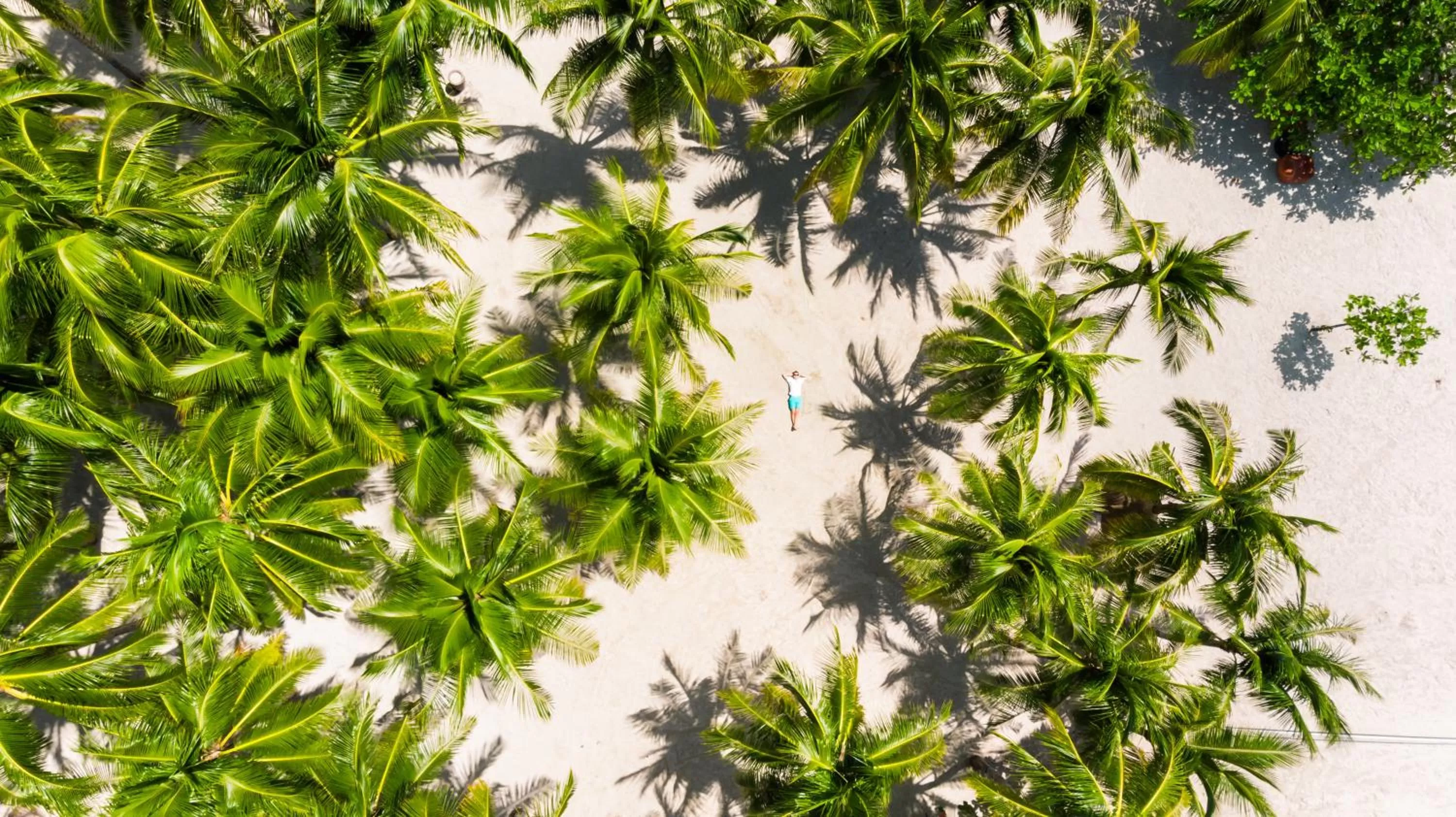 Property building in Oceanica Resort Panglao, Bohol