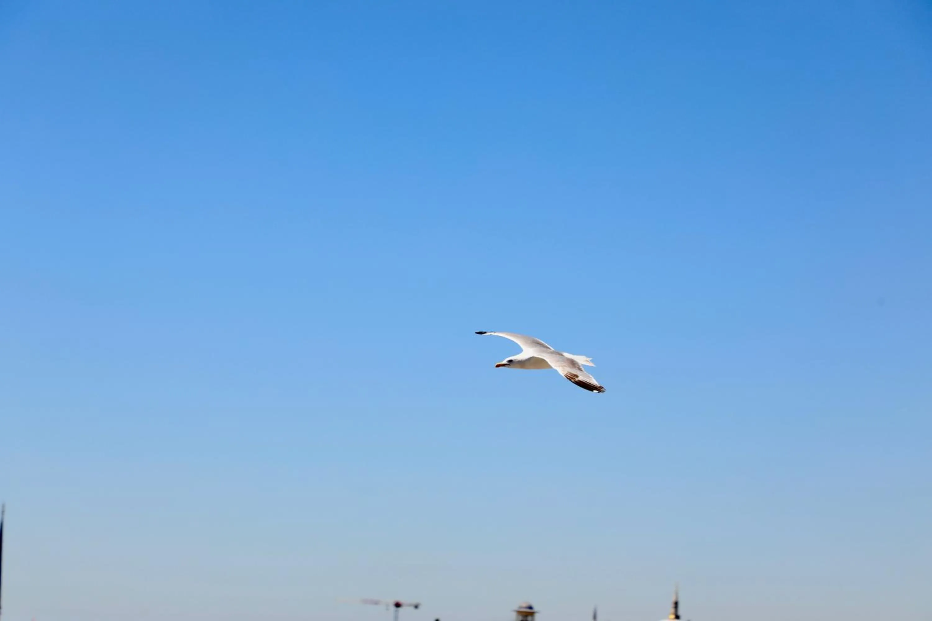 Day in Istanbul Royal Hotel