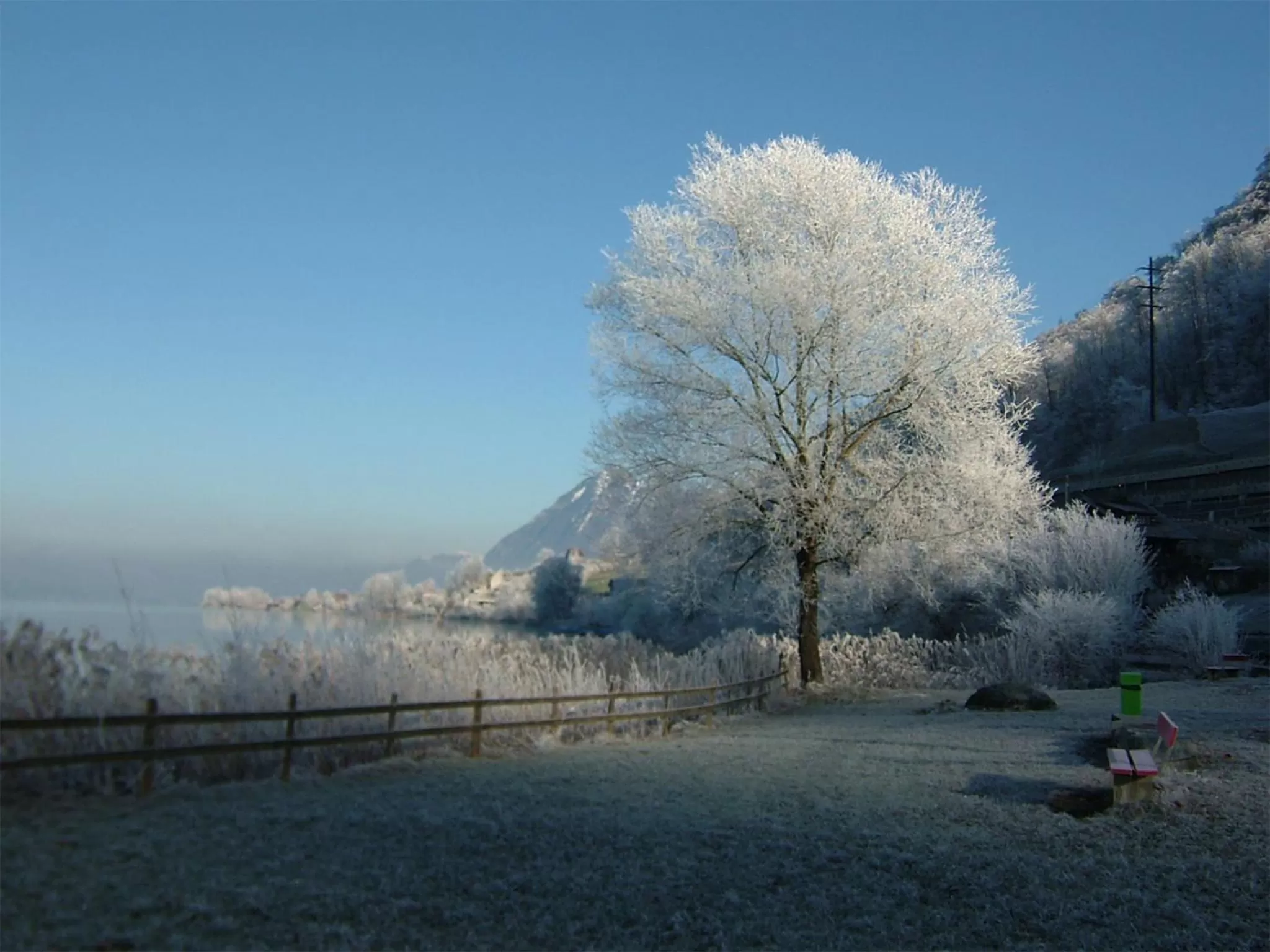 Natural landscape in Landgasthof Zollhaus