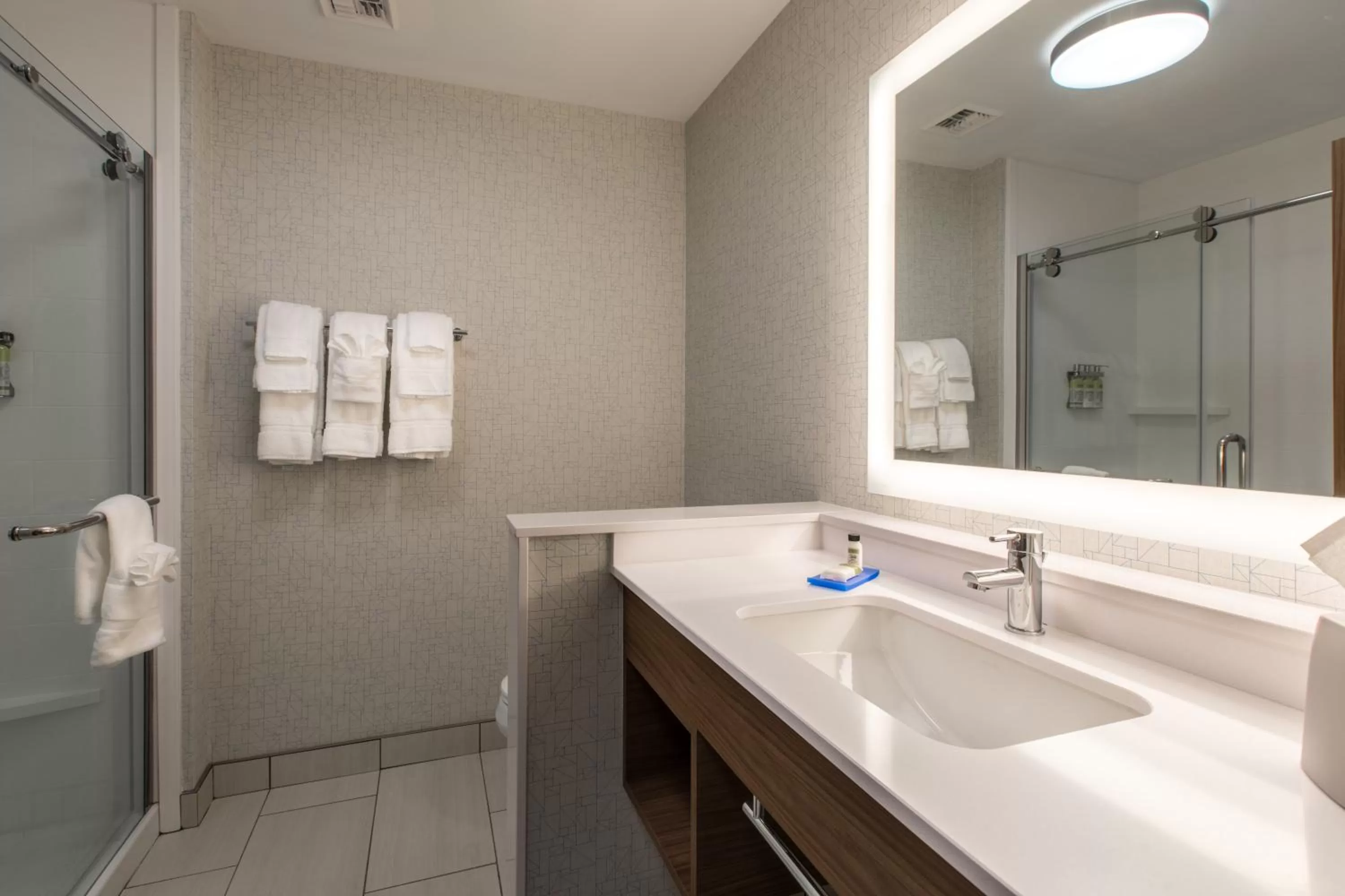 Bathroom in Holiday Inn Express & Suites Greenville S - Piedmont by IHG