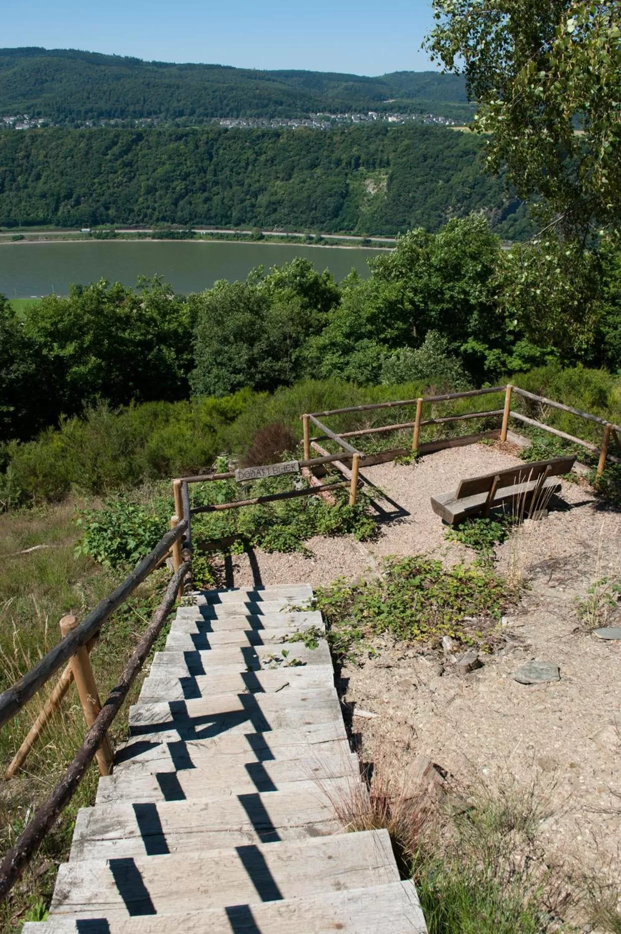 View (from property/room) in Hotel im Rheintal