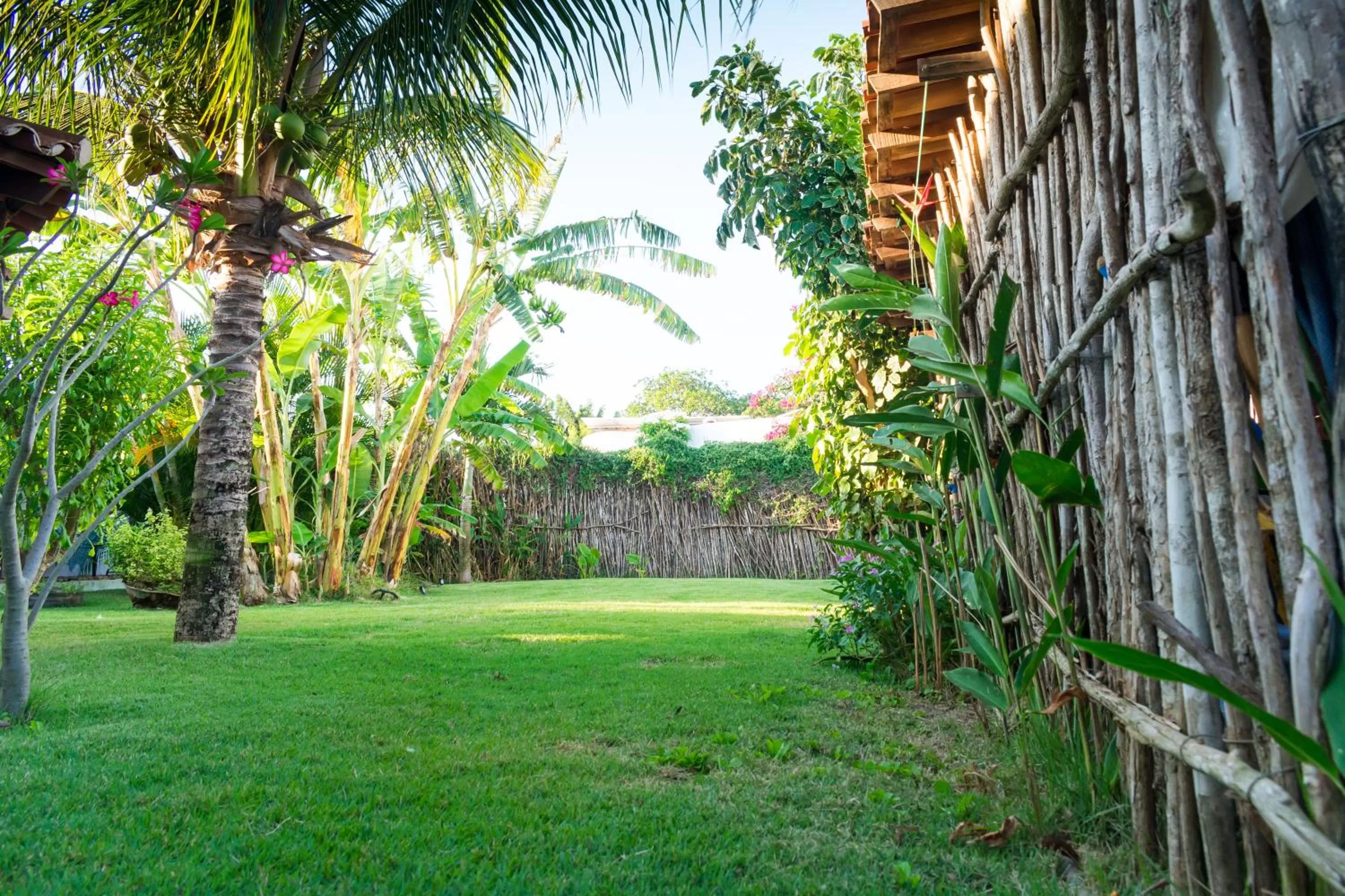 Garden in Pousada Casa Do Cocotier
