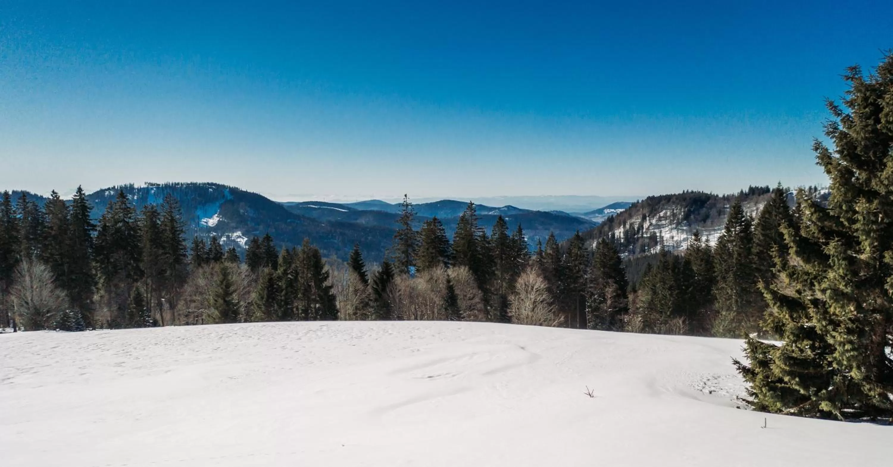View (from property/room) in Berggasthof zur Todtnauer Hütte