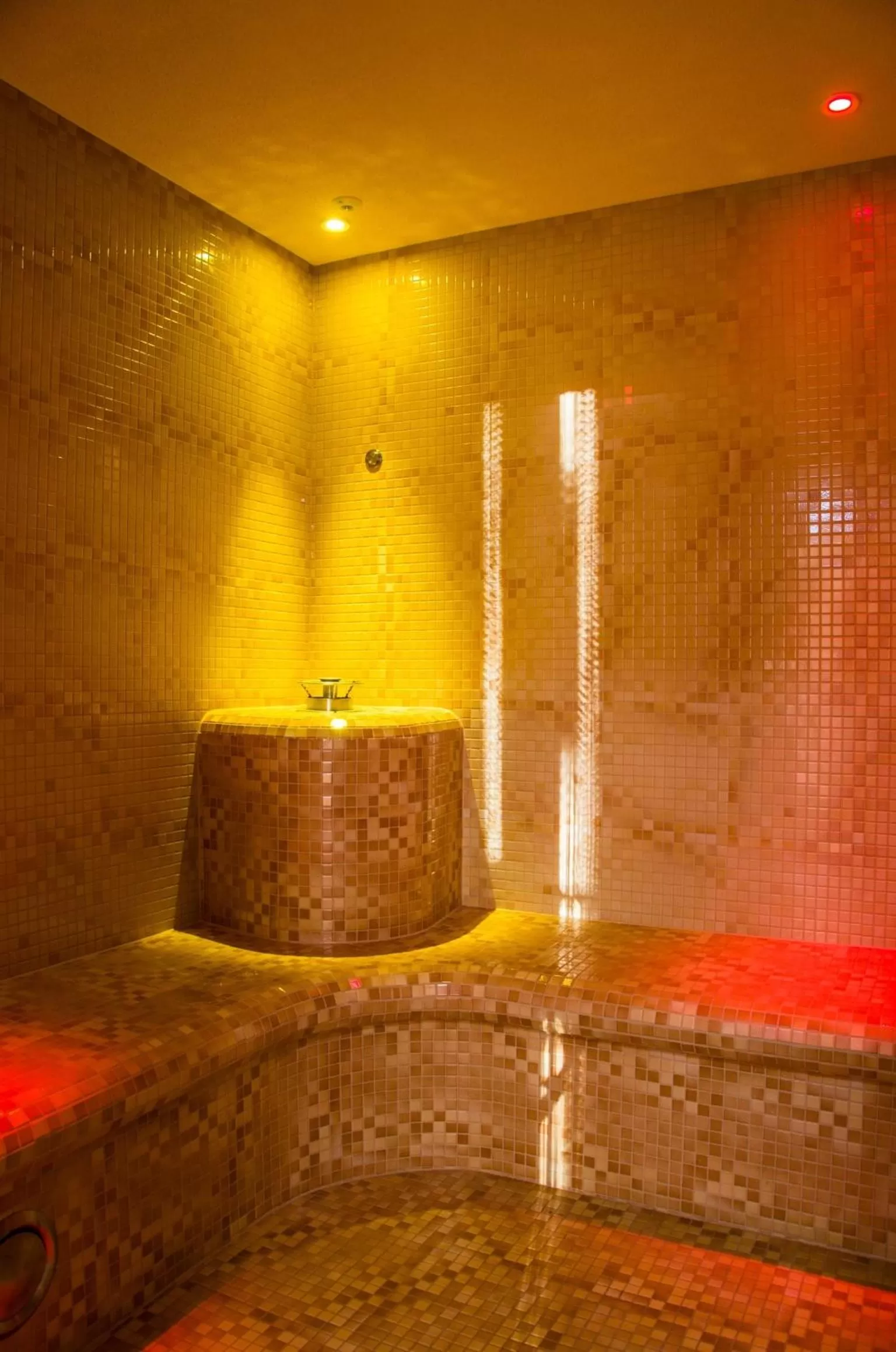 Spa and wellness centre/facilities in Hotel Emocja SPA