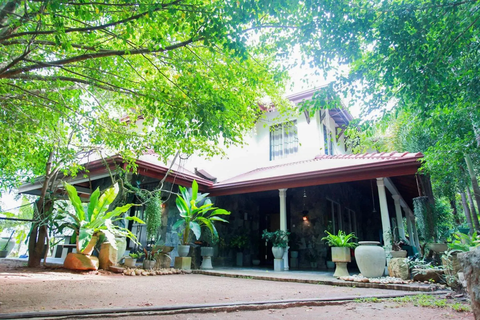 Evergreen Hotel Dambulla Evergreen Hotel Dambulla