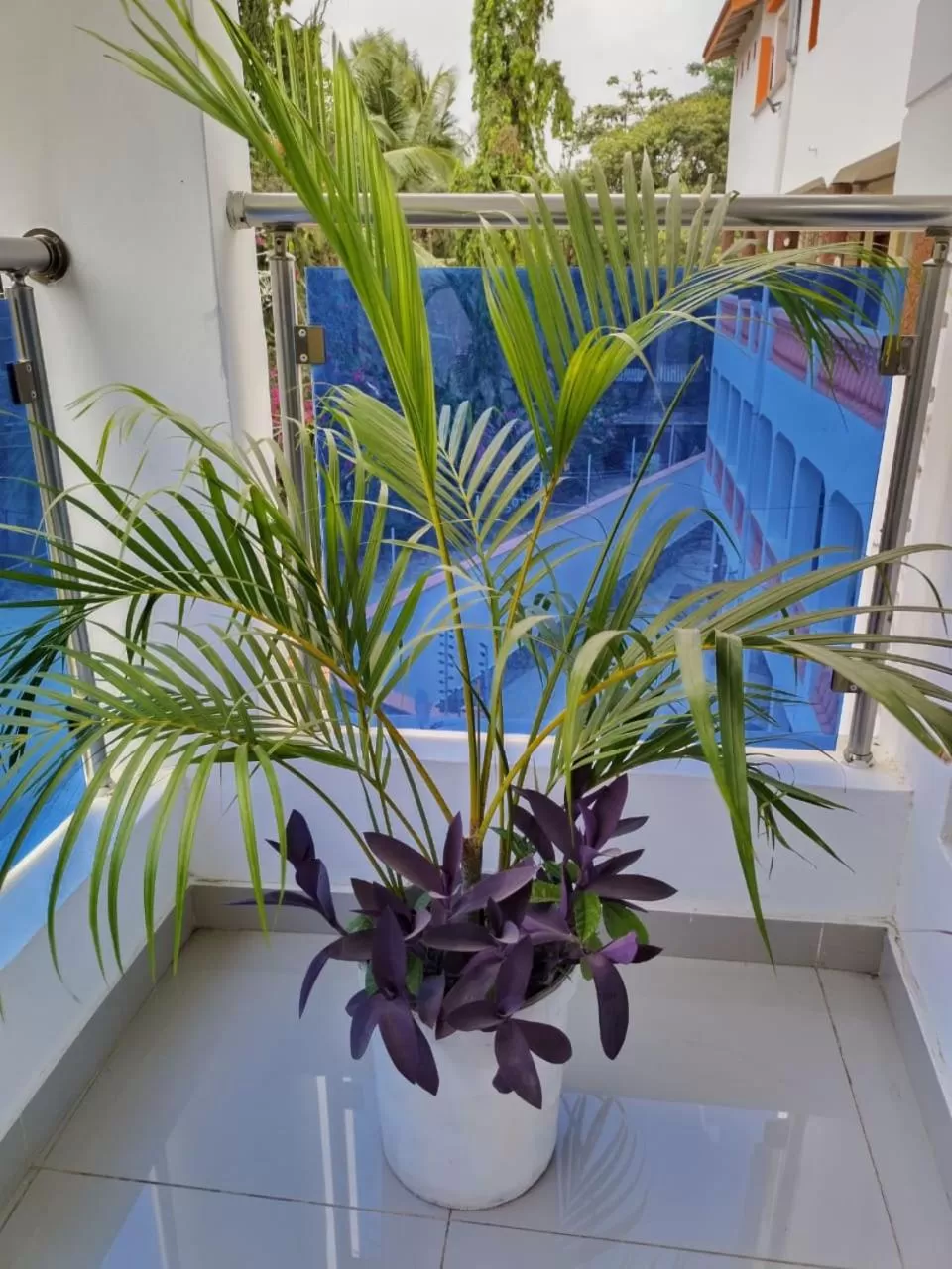 Decorative detail, Pool View in 6 Park Retreat
