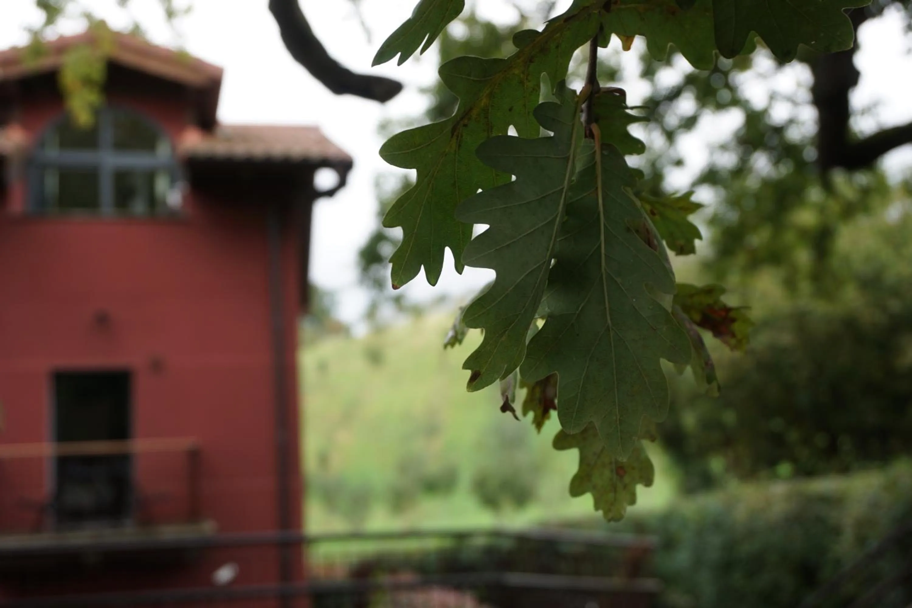 Garden in Hotel Rural Sagarlore