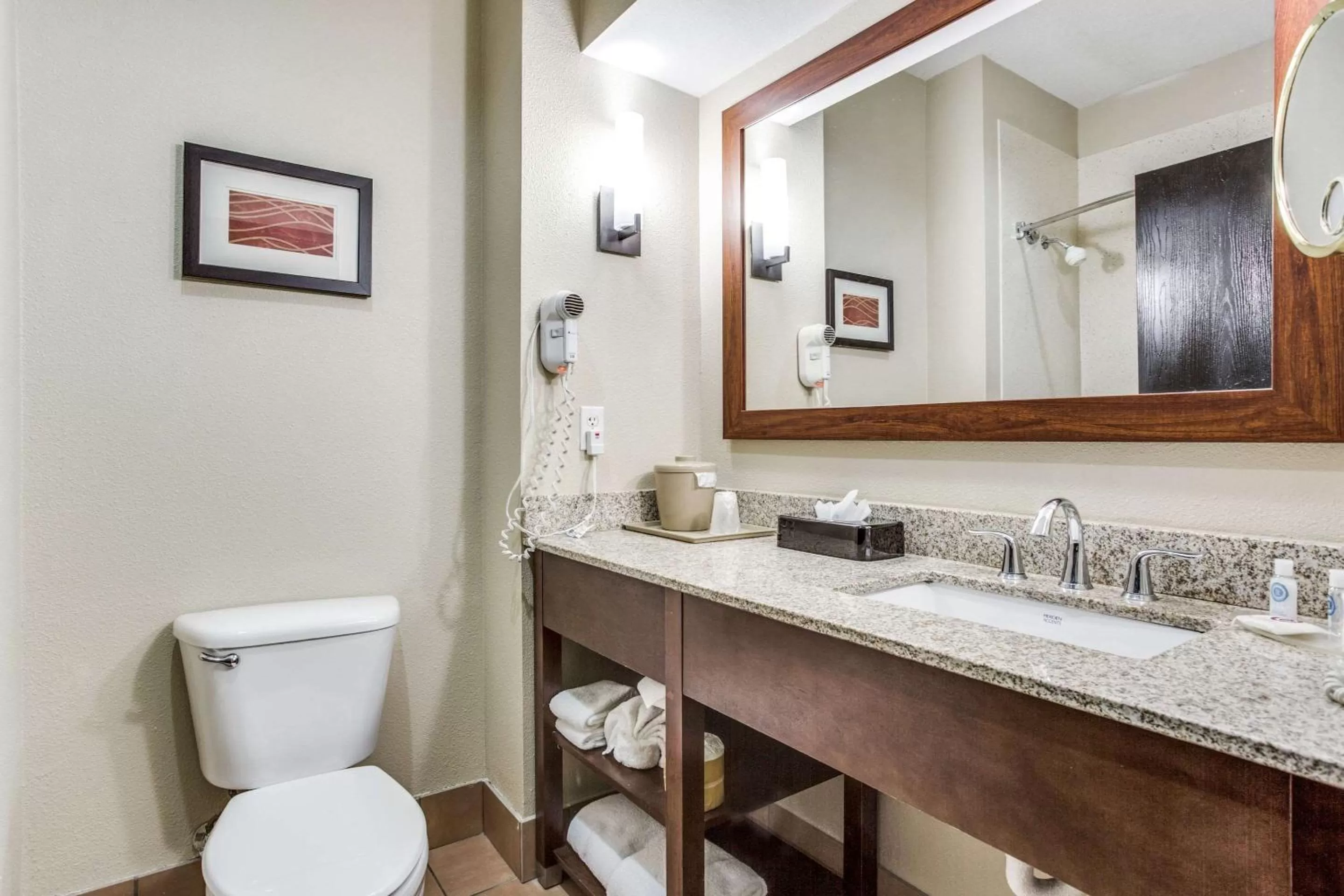 Bathroom in Comfort Inn & Suites Love Field-Dallas Market Center