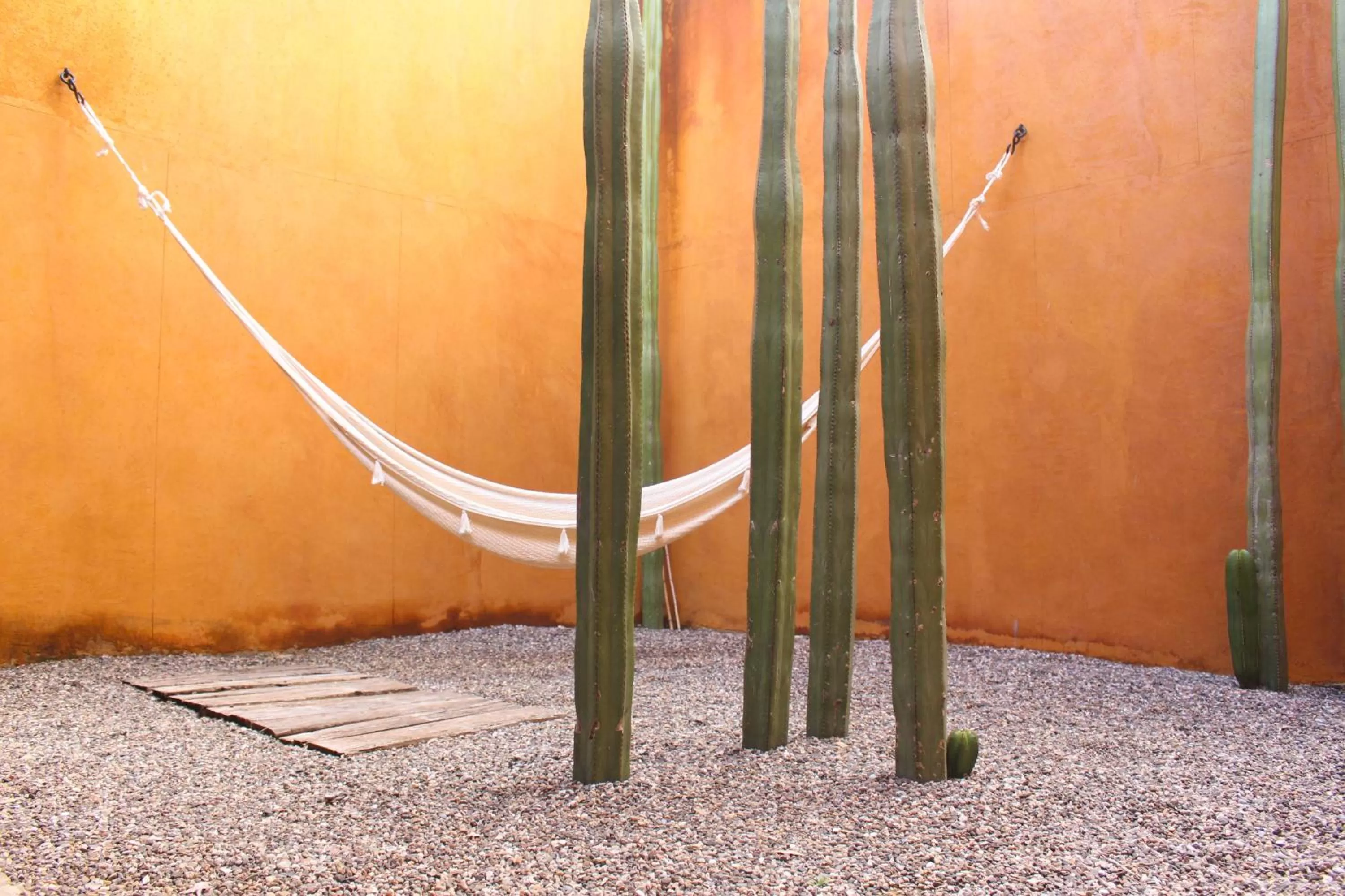 Off site in Hotel Cosijo - San Jeronimo Tlacochahuaya