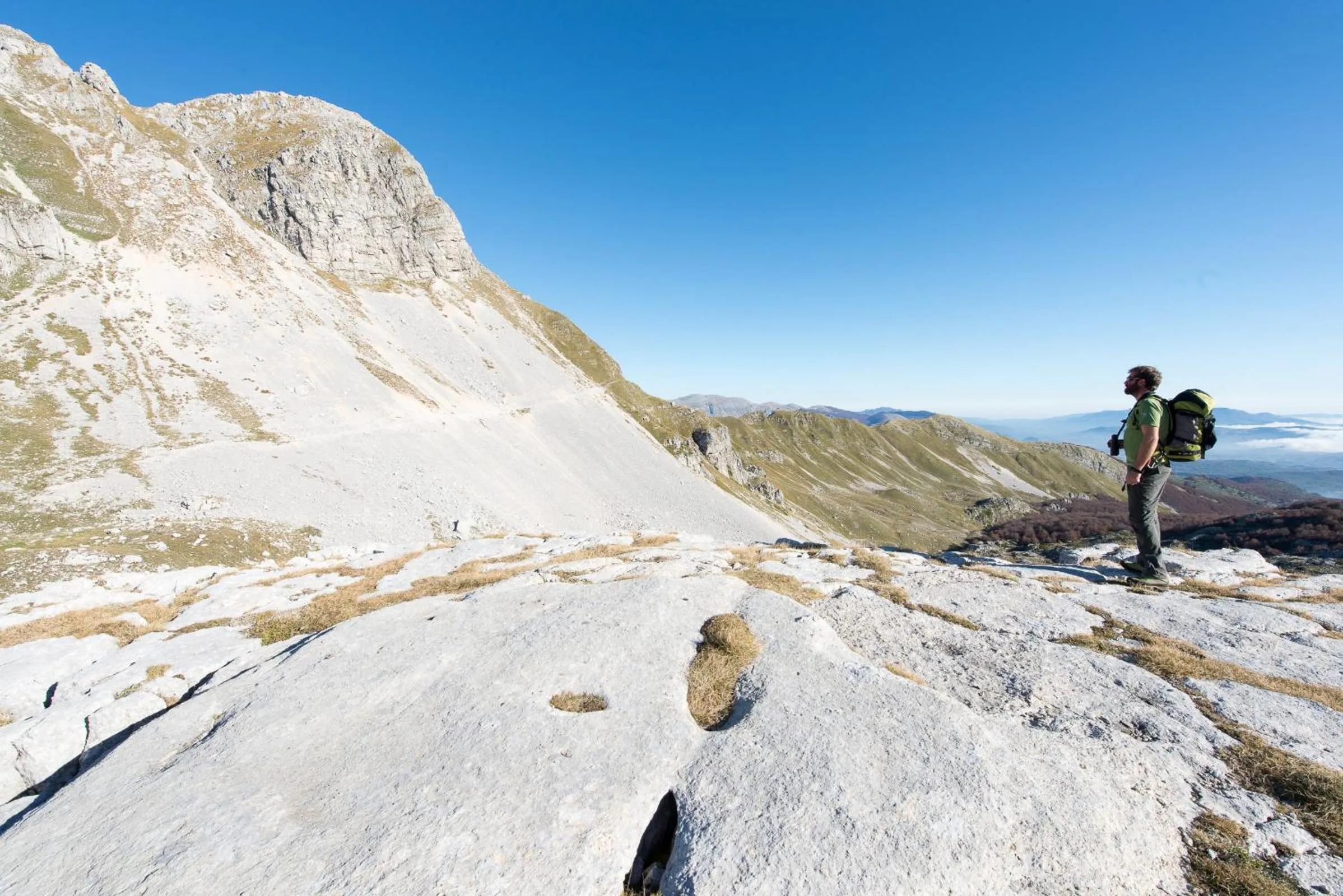 Natural landscape in Hotel Iris