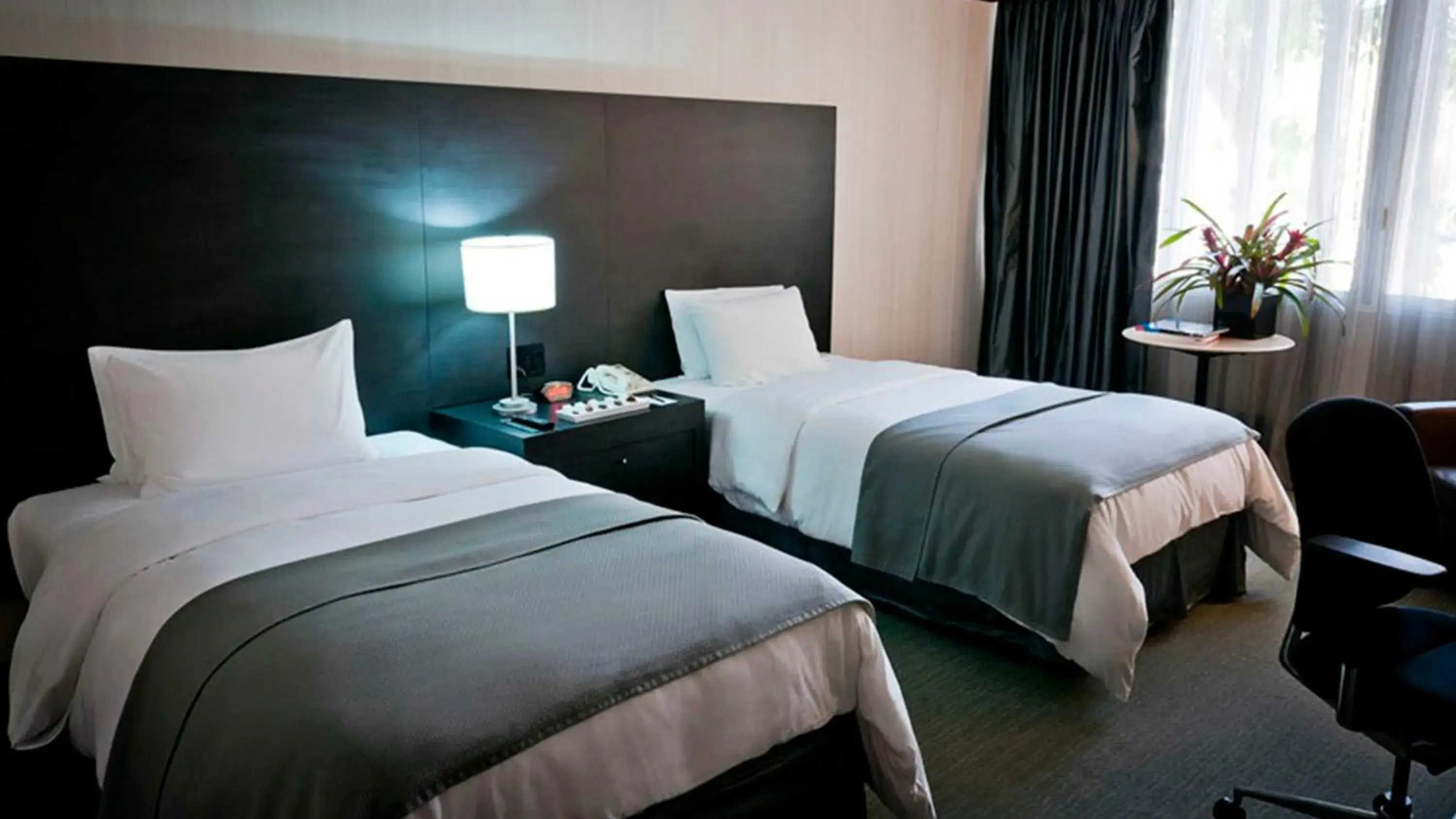 Deluxe Twin Room - single occupancy in Hotel Tamanaco Caracas Deluxe Twin Room - single occupancy in Hotel Tamanaco Caracas