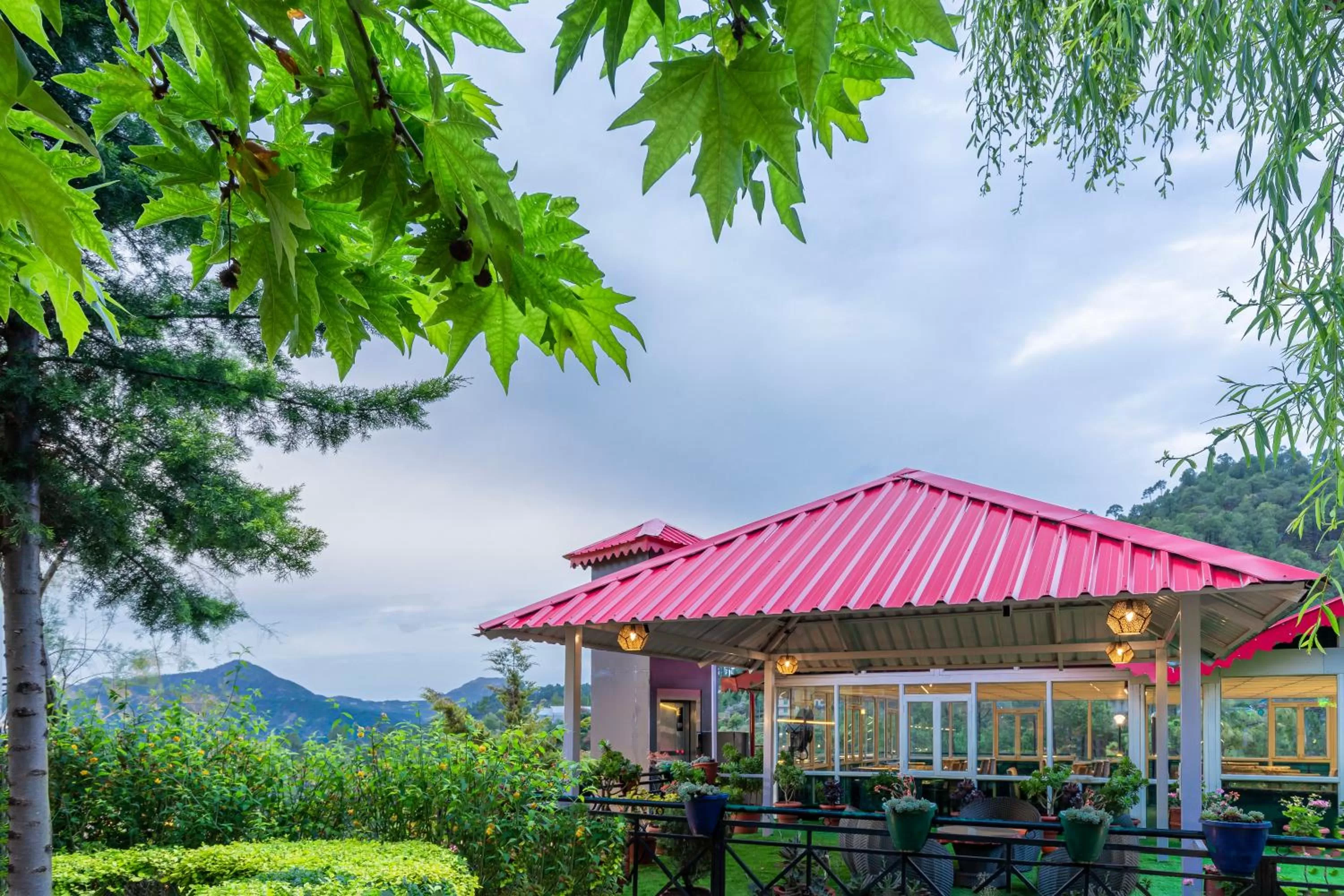 Restaurant/places to eat in Maple Resort Chail