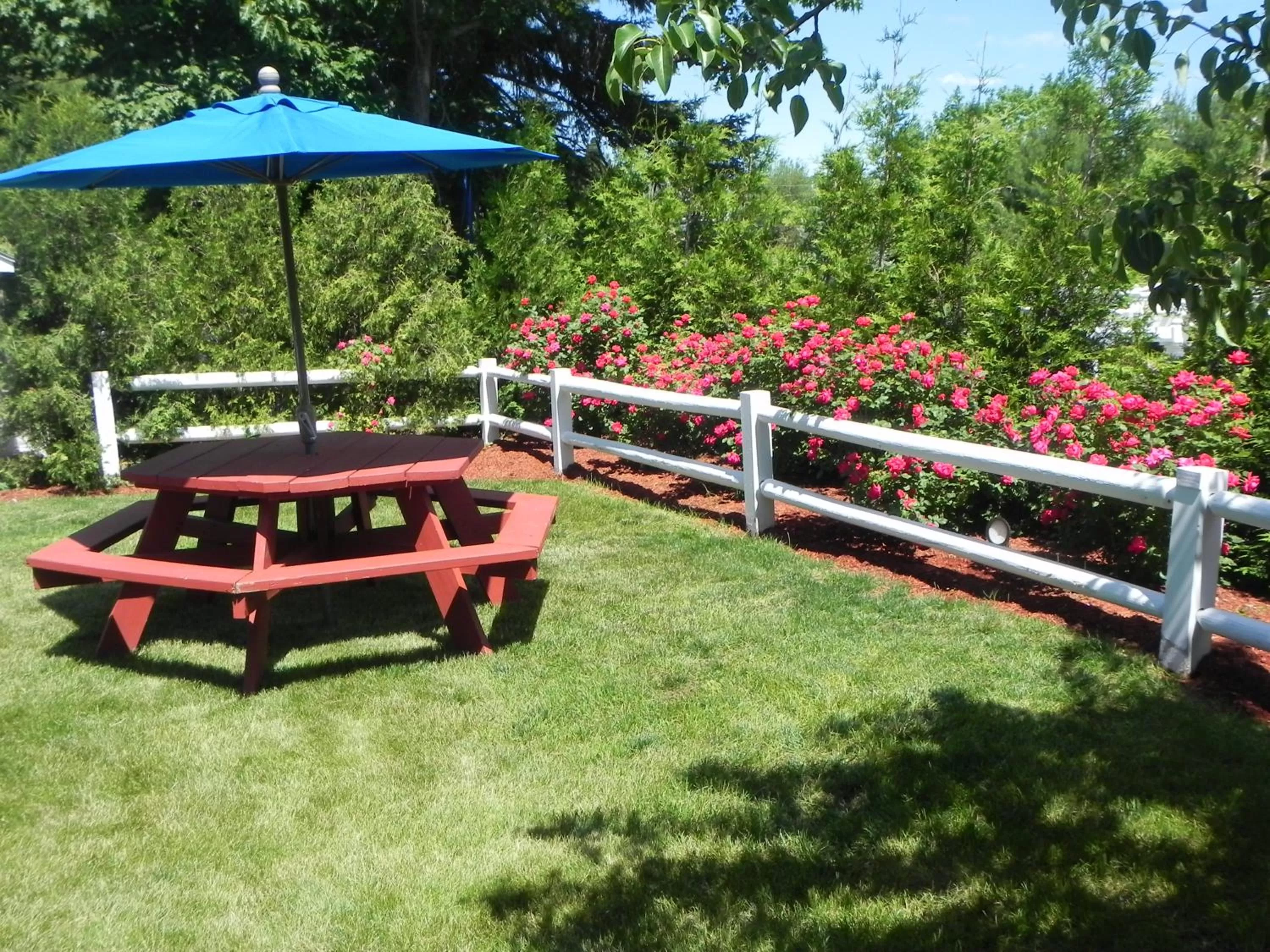 Garden view in Elmwood Resort Hotel