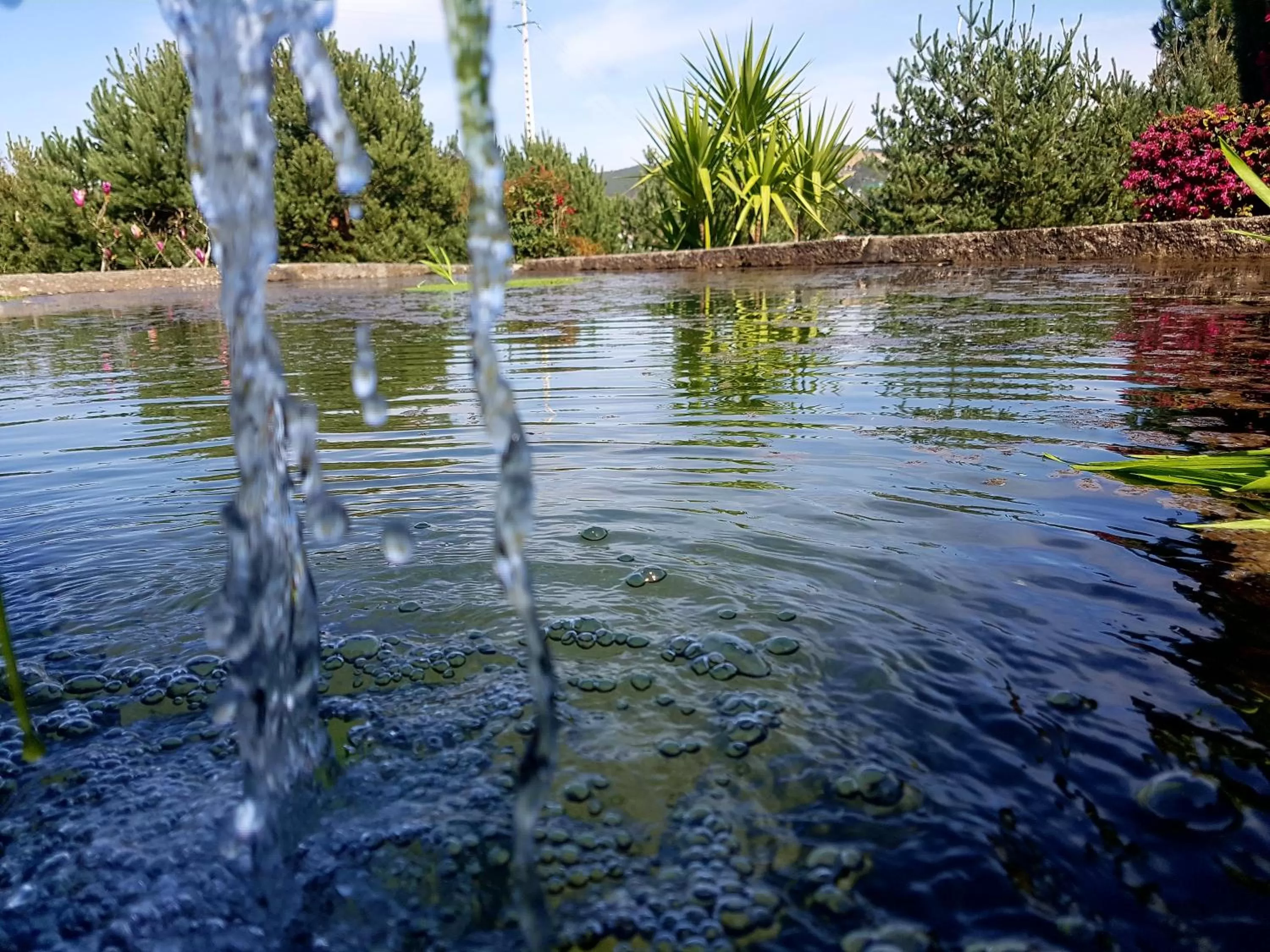 Natural landscape in Hotel Rural Quinta das Quintães